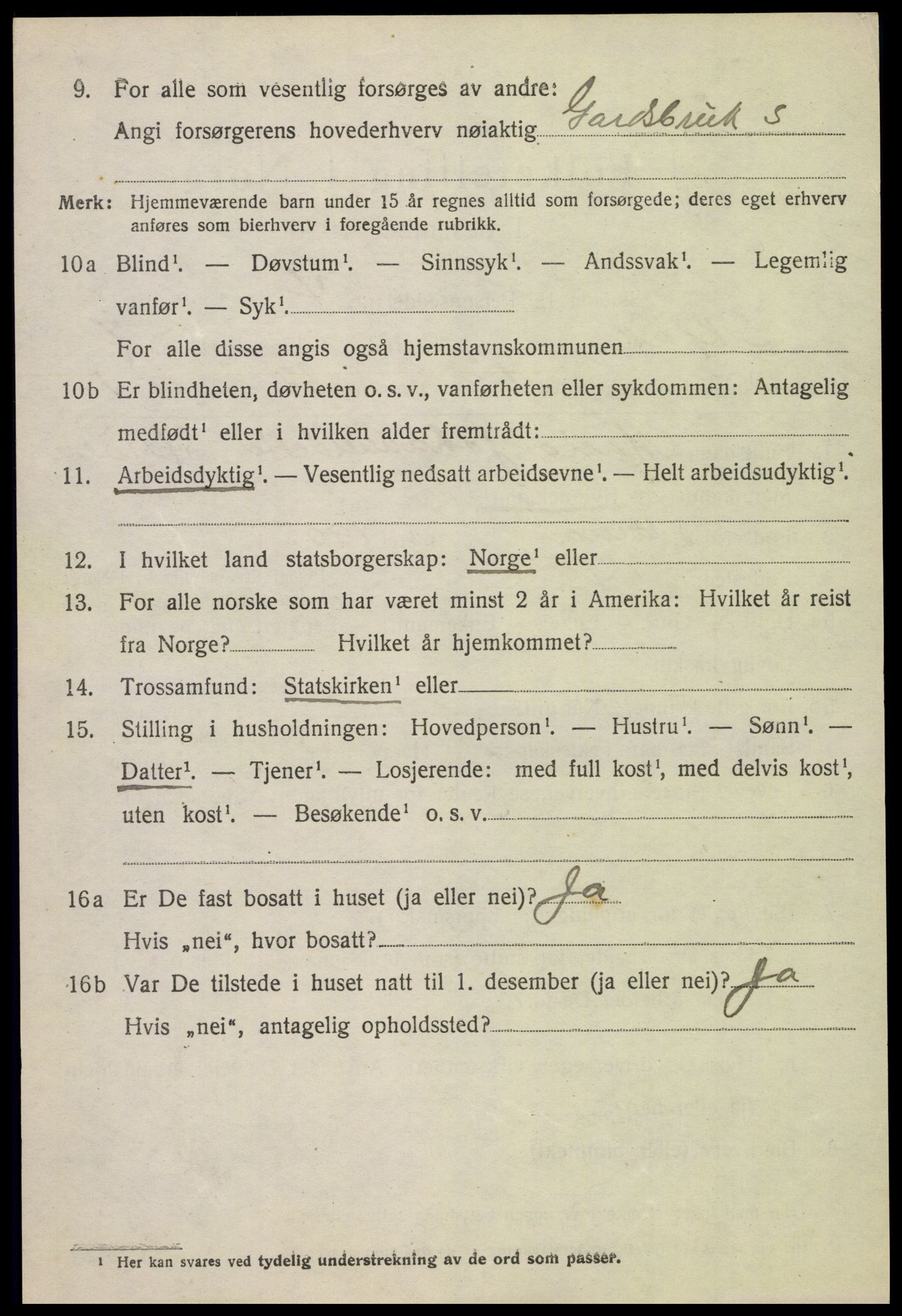 SAH, 1920 census for Skjåk, 1920, p. 3391