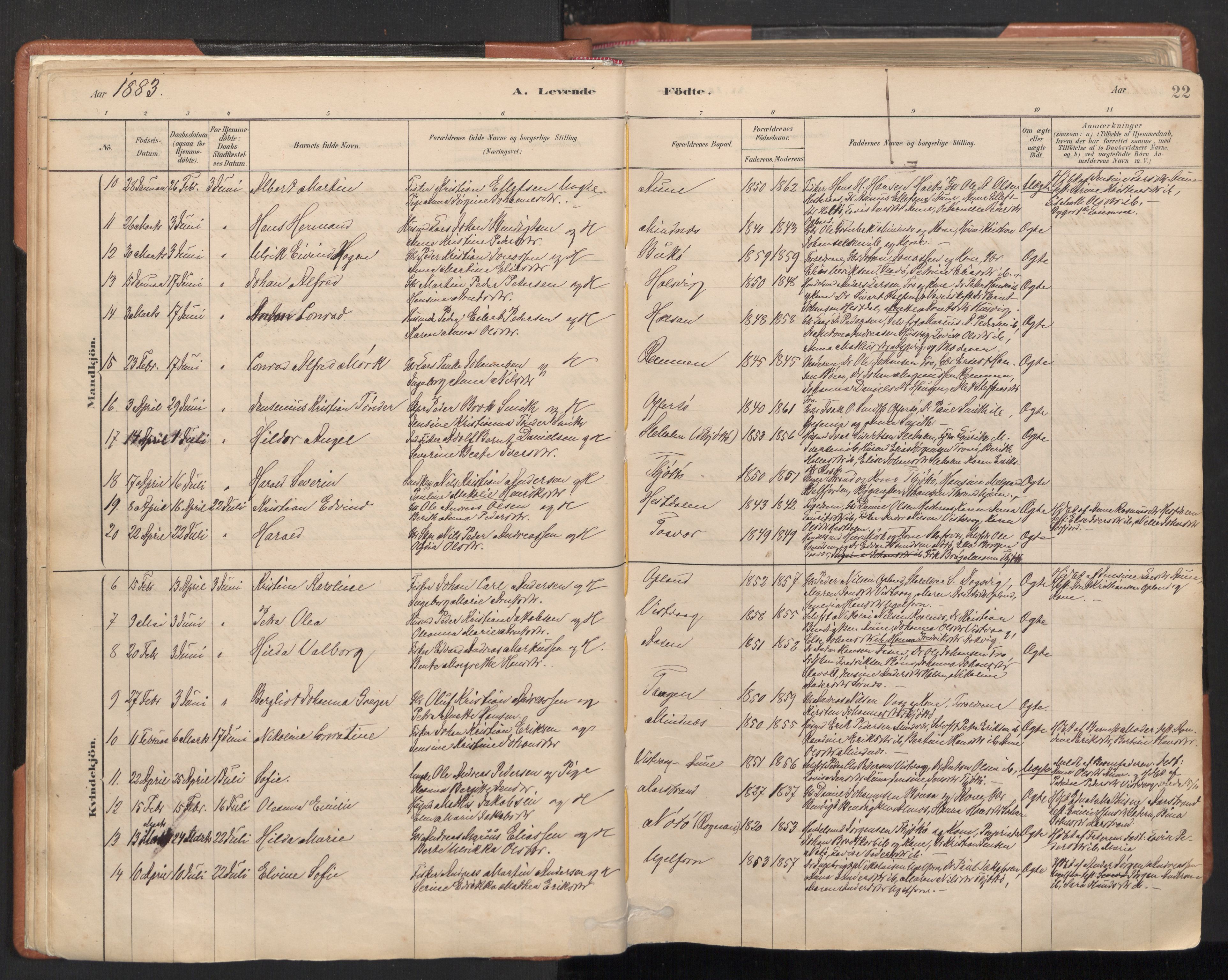 Ministerialprotokoller, klokkerbøker og fødselsregistre - Nordland, AV/SAT-A-1459/817/L0264: Parish register (official) no. 817A04, 1878-1907, p. 22