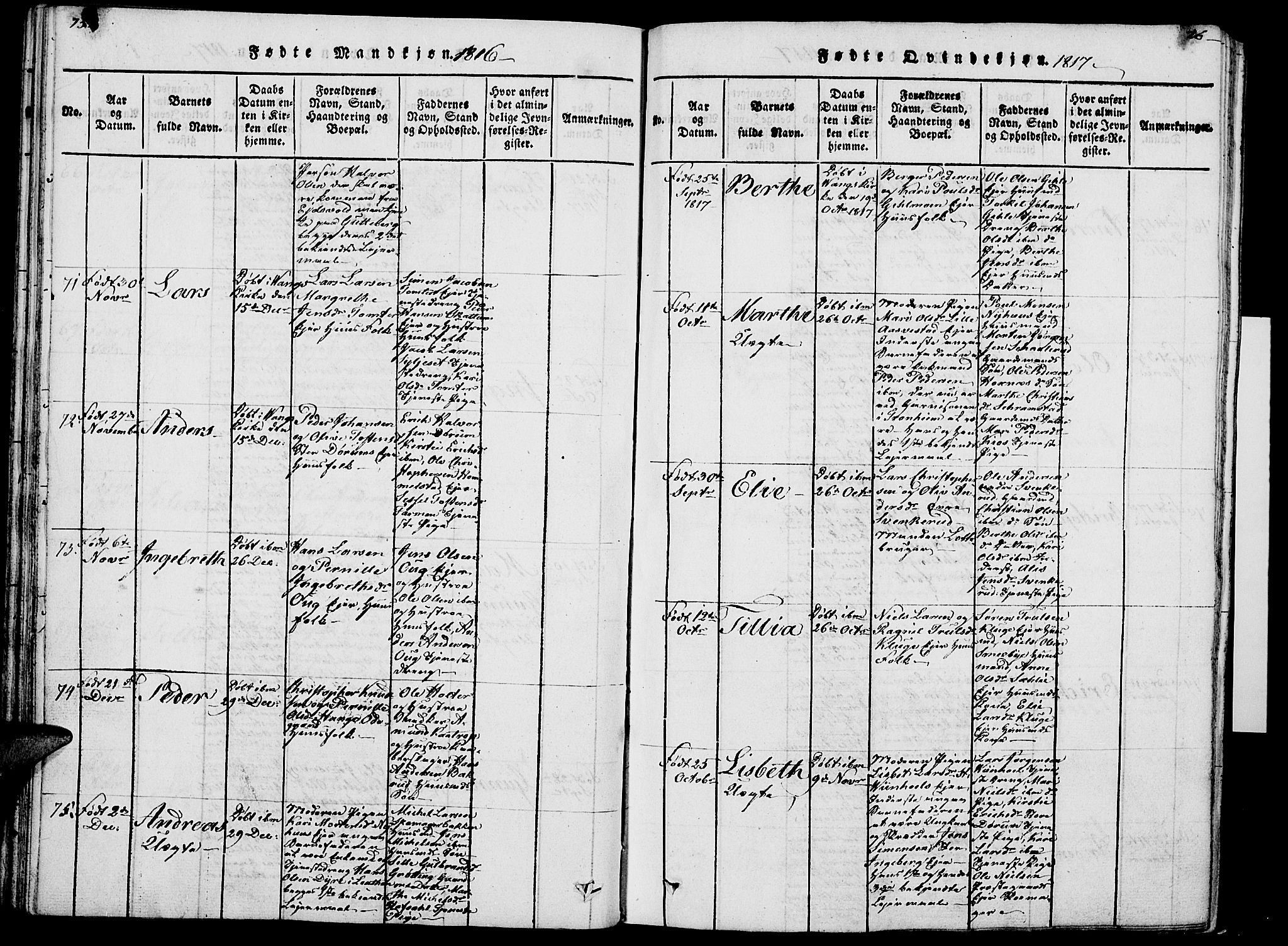 Vang prestekontor, Hedmark, AV/SAH-PREST-008/H/Ha/Haa/L0007: Parish register (official) no. 7, 1813-1826, p. 75-76