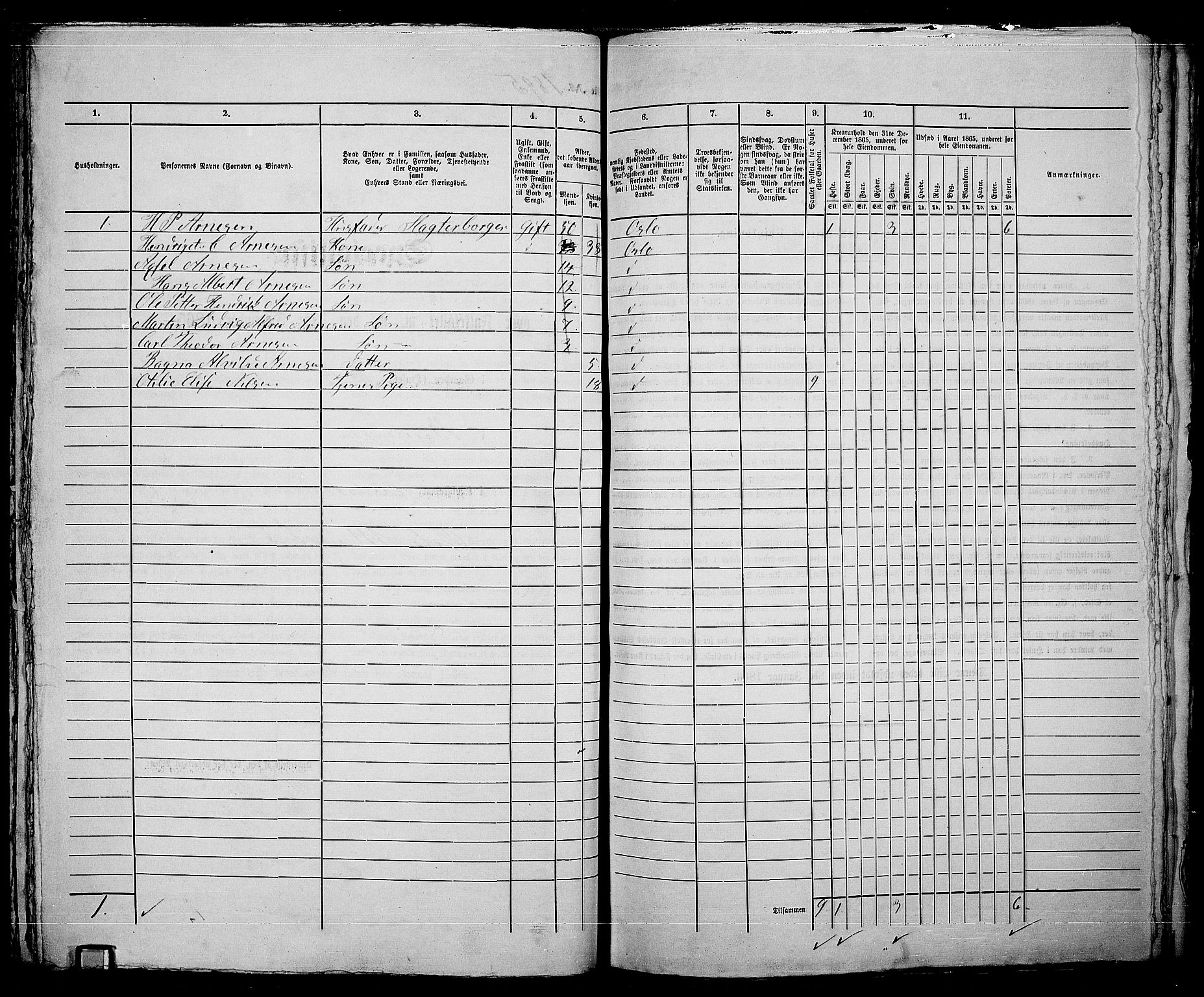 RA, 1865 census for Kristiania, 1865, p. 4243