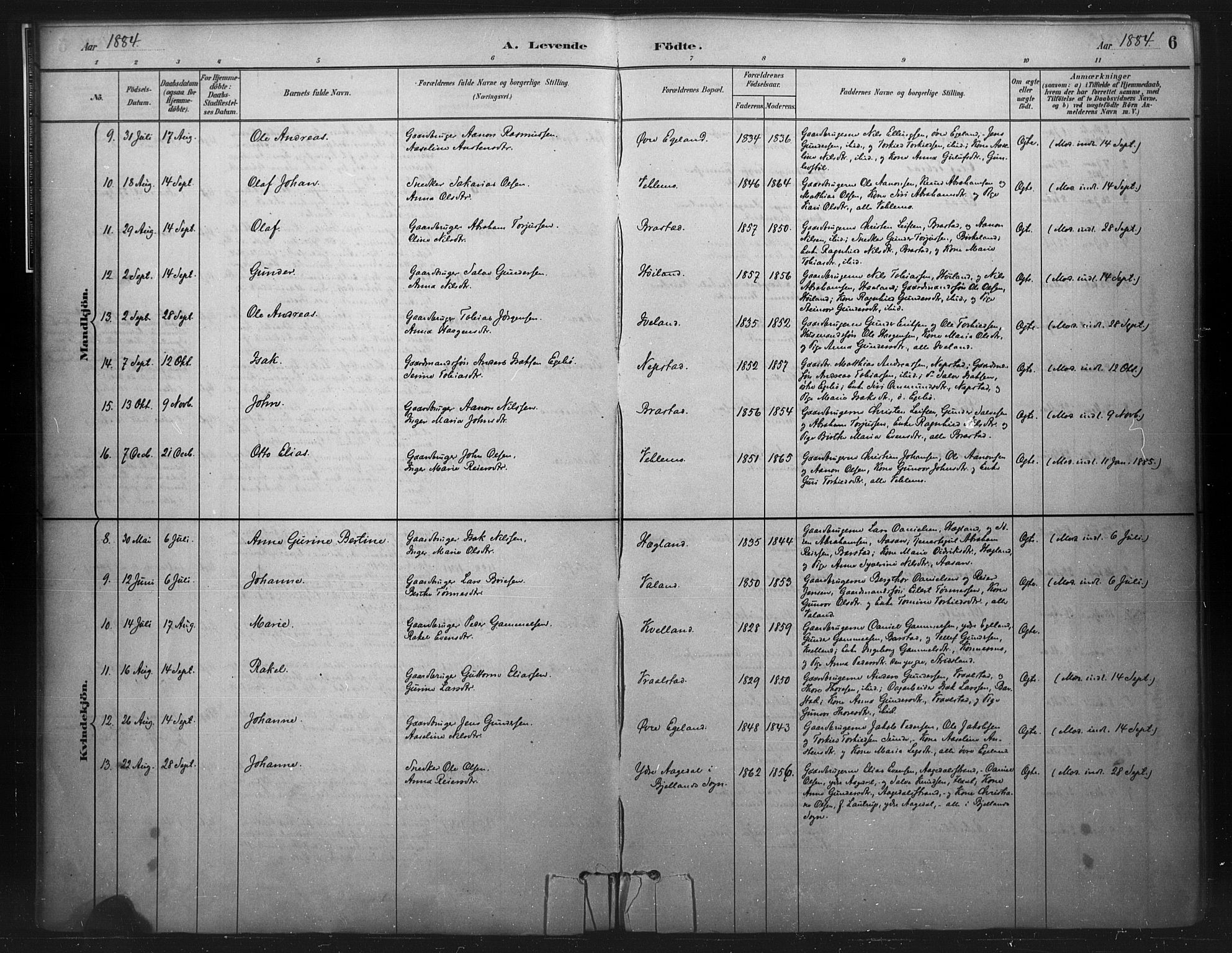 Nord-Audnedal sokneprestkontor, AV/SAK-1111-0032/F/Fa/Faa/L0003: Parish register (official) no. A 3, 1882-1900, p. 6