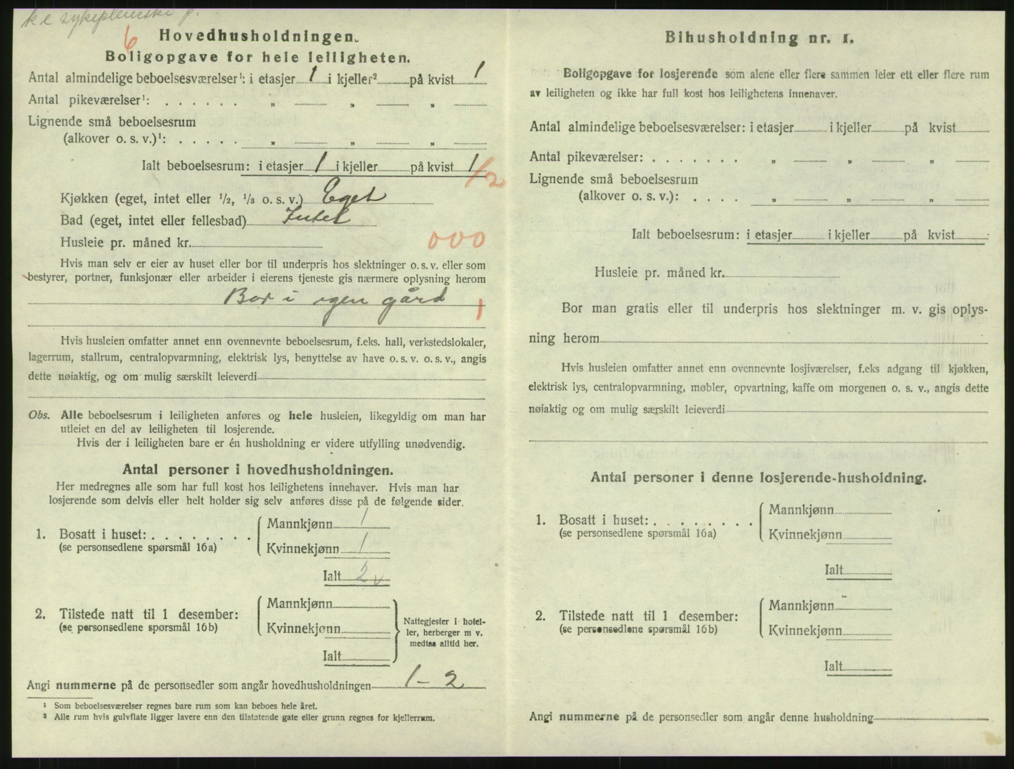 SAT, 1920 census for Namsos, 1920, p. 1994