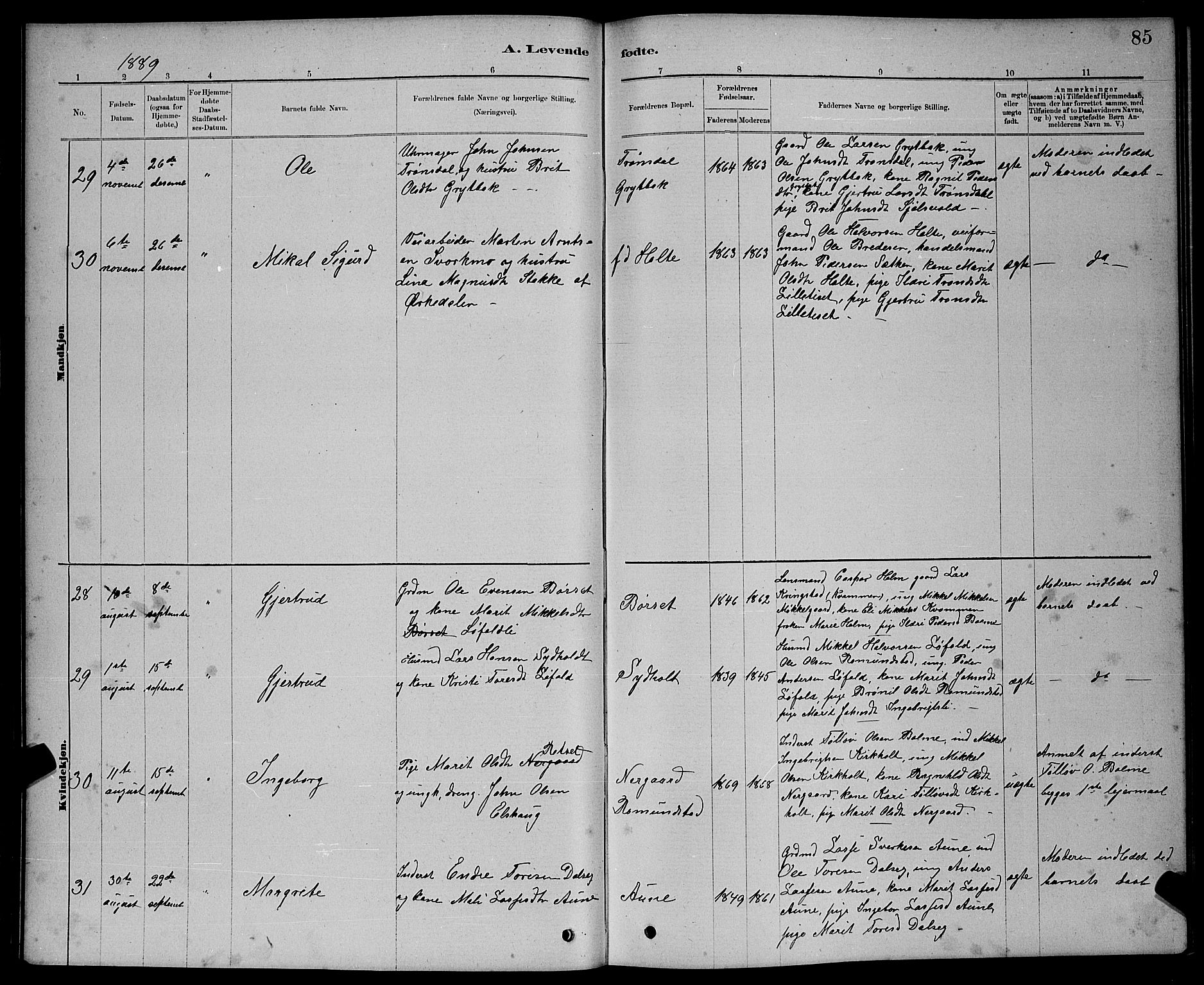 Ministerialprotokoller, klokkerbøker og fødselsregistre - Møre og Romsdal, AV/SAT-A-1454/598/L1077: Parish register (copy) no. 598C02, 1879-1891, p. 85