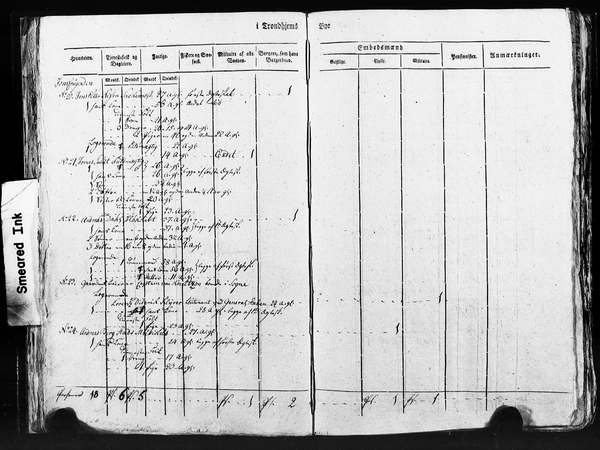 SAT, Census 1815 for Trondheim (transcript), 1815, p. 232