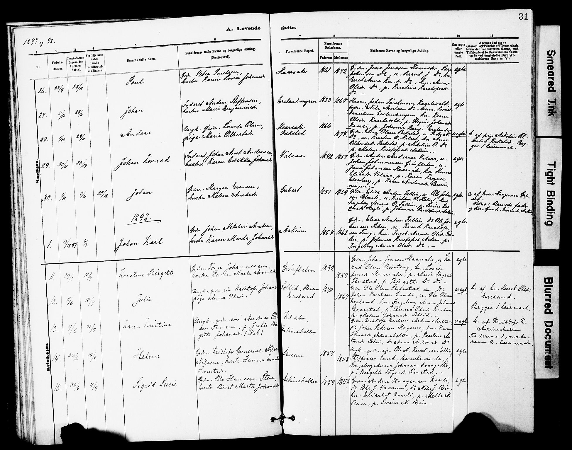 Ministerialprotokoller, klokkerbøker og fødselsregistre - Sør-Trøndelag, SAT/A-1456/646/L0628: Parish register (copy) no. 646C01, 1880-1903, p. 31