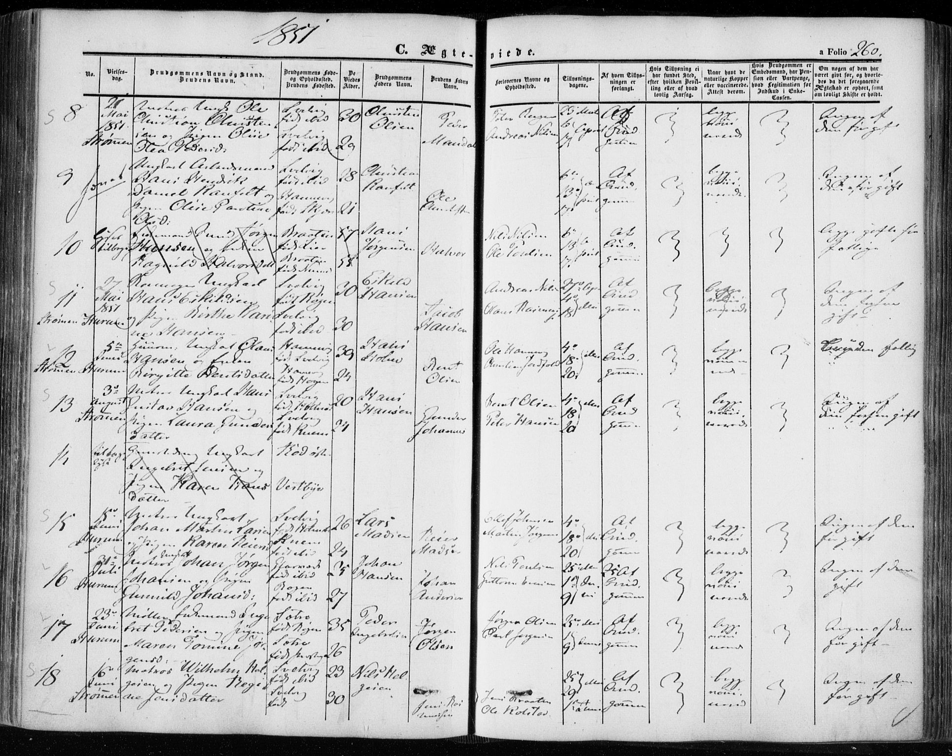 Hurum kirkebøker, SAKO/A-229/F/Fa/L0011: Parish register (official) no. 11, 1847-1860, p. 260