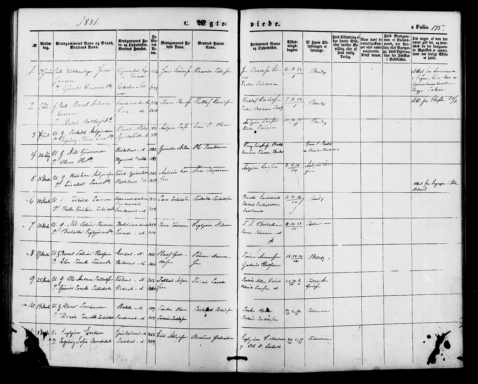 Bakke sokneprestkontor, SAK/1111-0002/F/Fa/Faa/L0007: Parish register (official) no. A 7, 1877-1886, p. 175