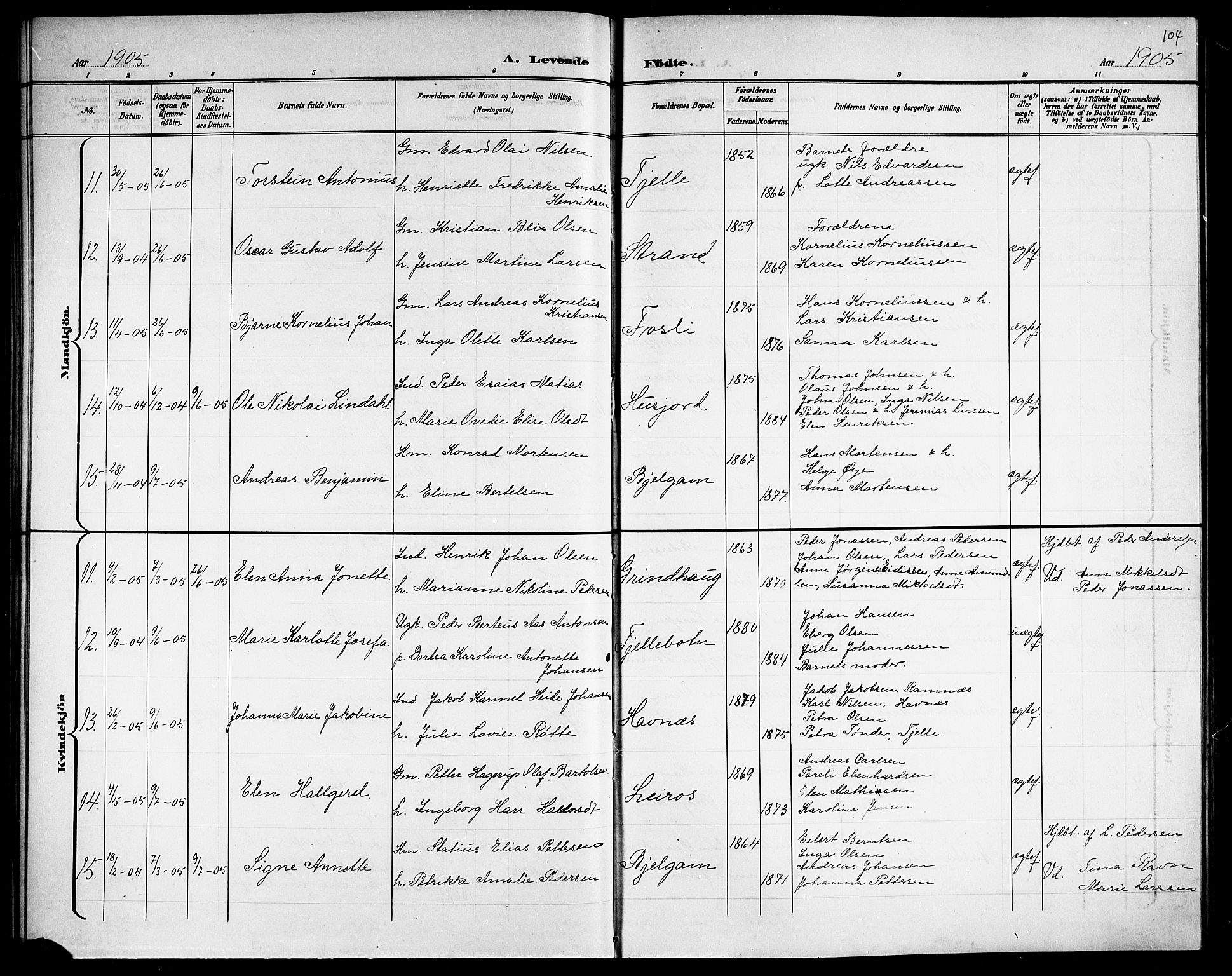 Ministerialprotokoller, klokkerbøker og fødselsregistre - Nordland, AV/SAT-A-1459/863/L0915: Parish register (copy) no. 863C05, 1898-1907, p. 104