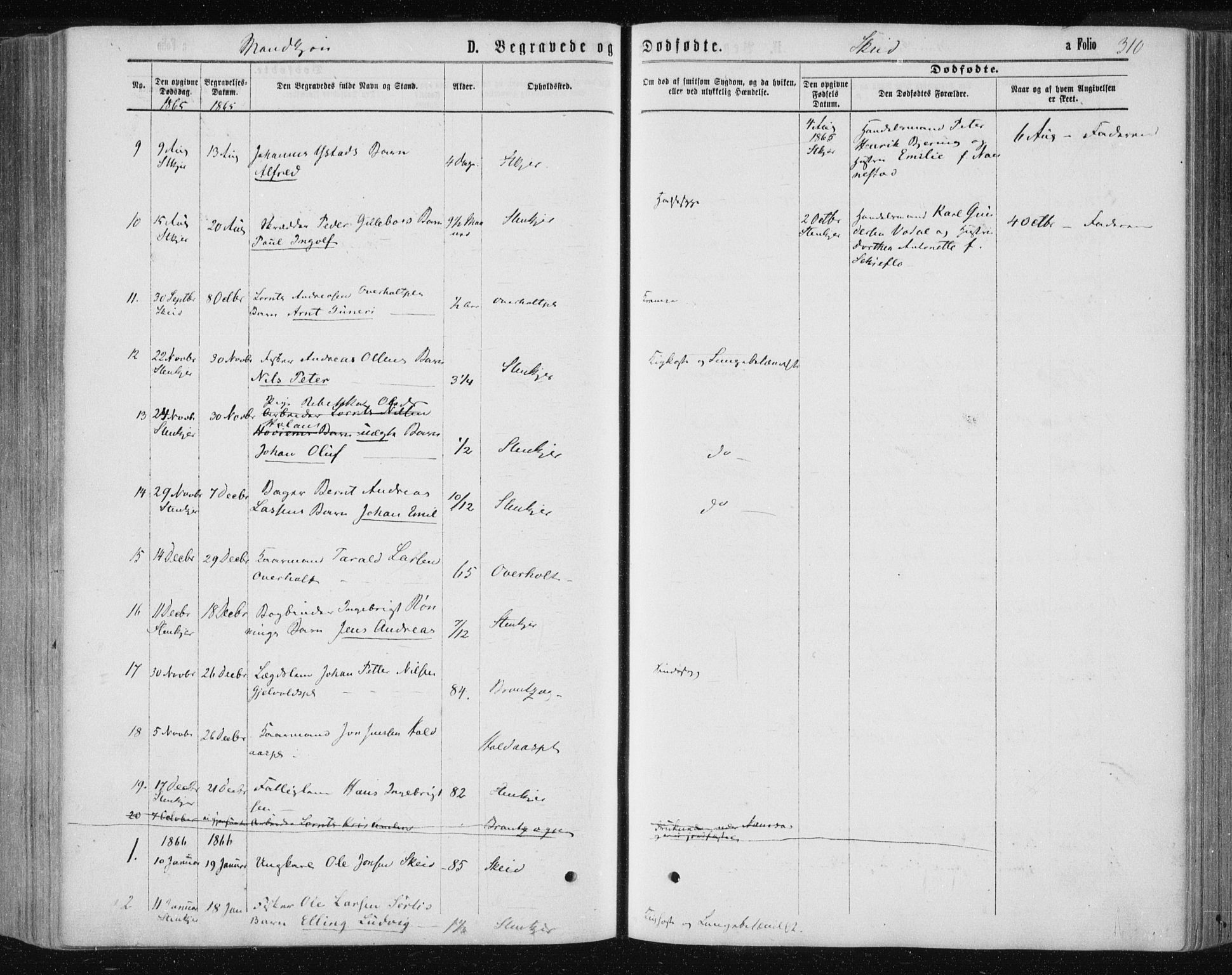 Ministerialprotokoller, klokkerbøker og fødselsregistre - Nord-Trøndelag, AV/SAT-A-1458/735/L0345: Parish register (official) no. 735A08 /2, 1863-1872, p. 310