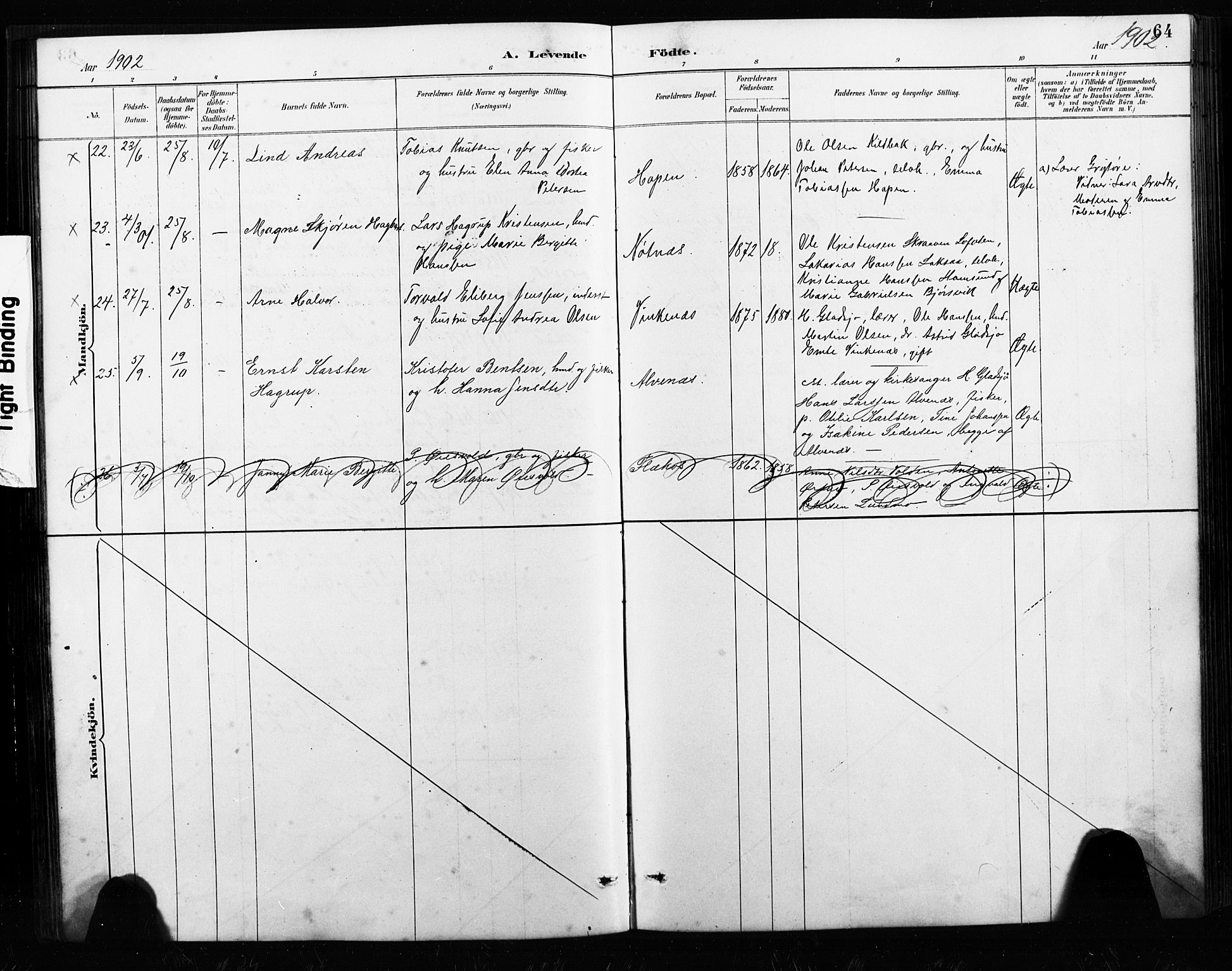 Ministerialprotokoller, klokkerbøker og fødselsregistre - Nordland, AV/SAT-A-1459/858/L0834: Parish register (copy) no. 858C01, 1884-1904, p. 64