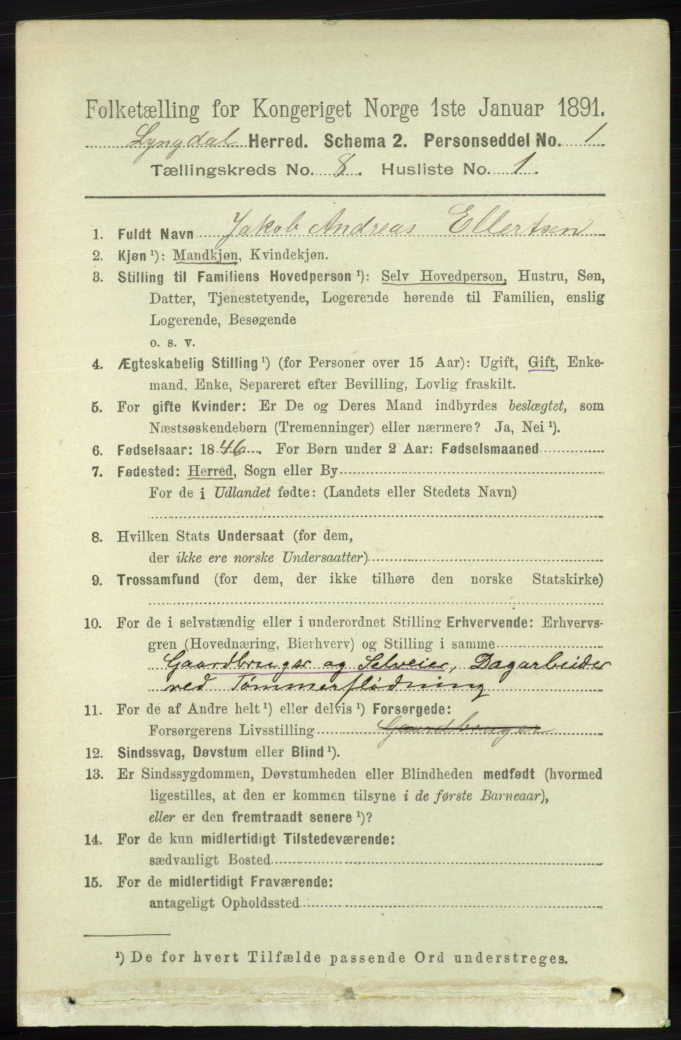 RA, 1891 census for 1032 Lyngdal, 1891, p. 3376