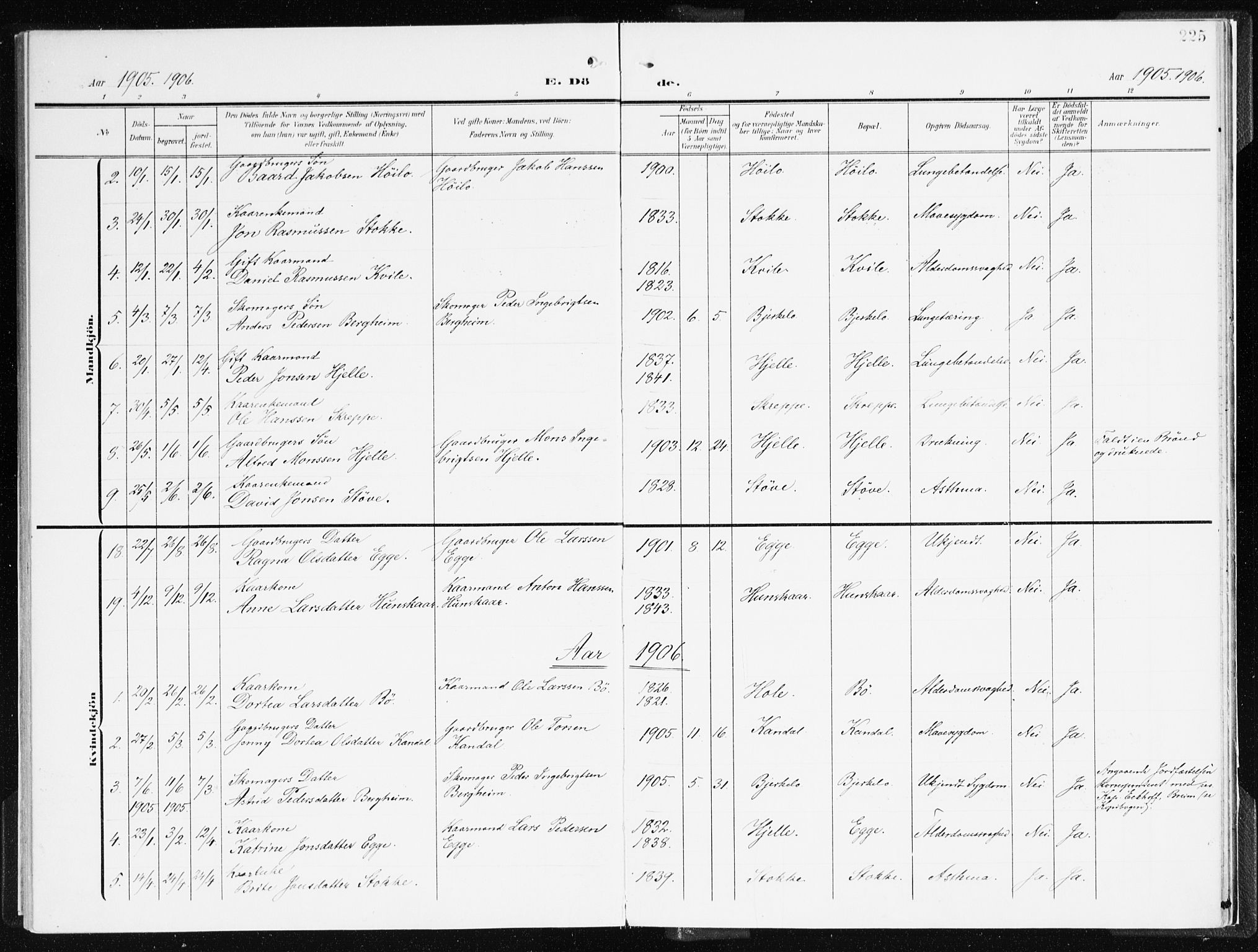 Gloppen sokneprestembete, AV/SAB-A-80101/H/Haa/Haac/L0003: Parish register (official) no. C 3, 1904-1921, p. 225