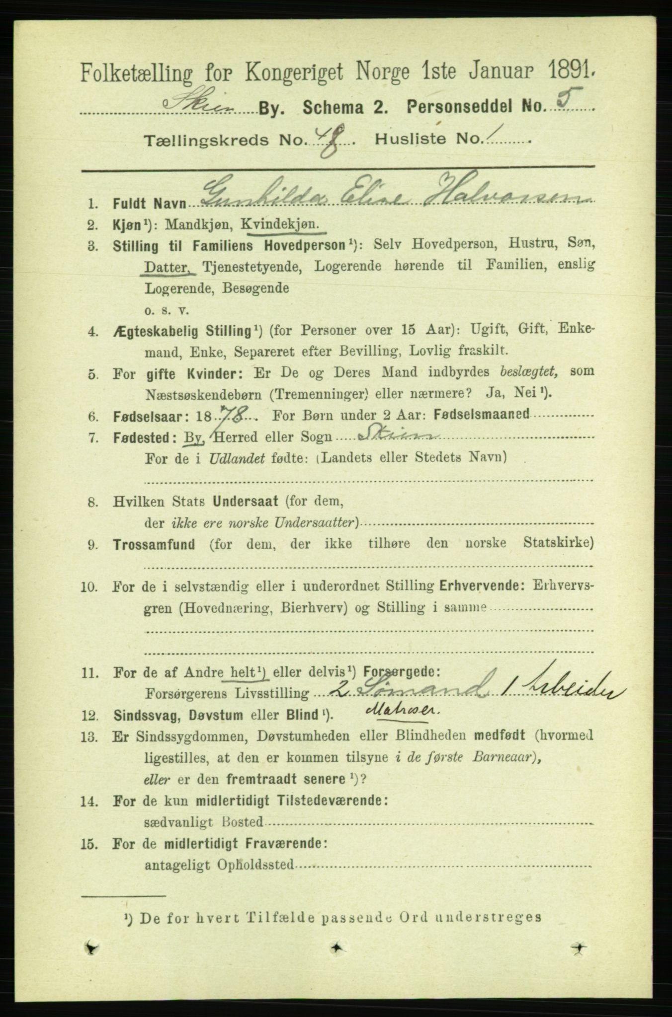 RA, 1891 census for 0806 Skien, 1891, p. 9828