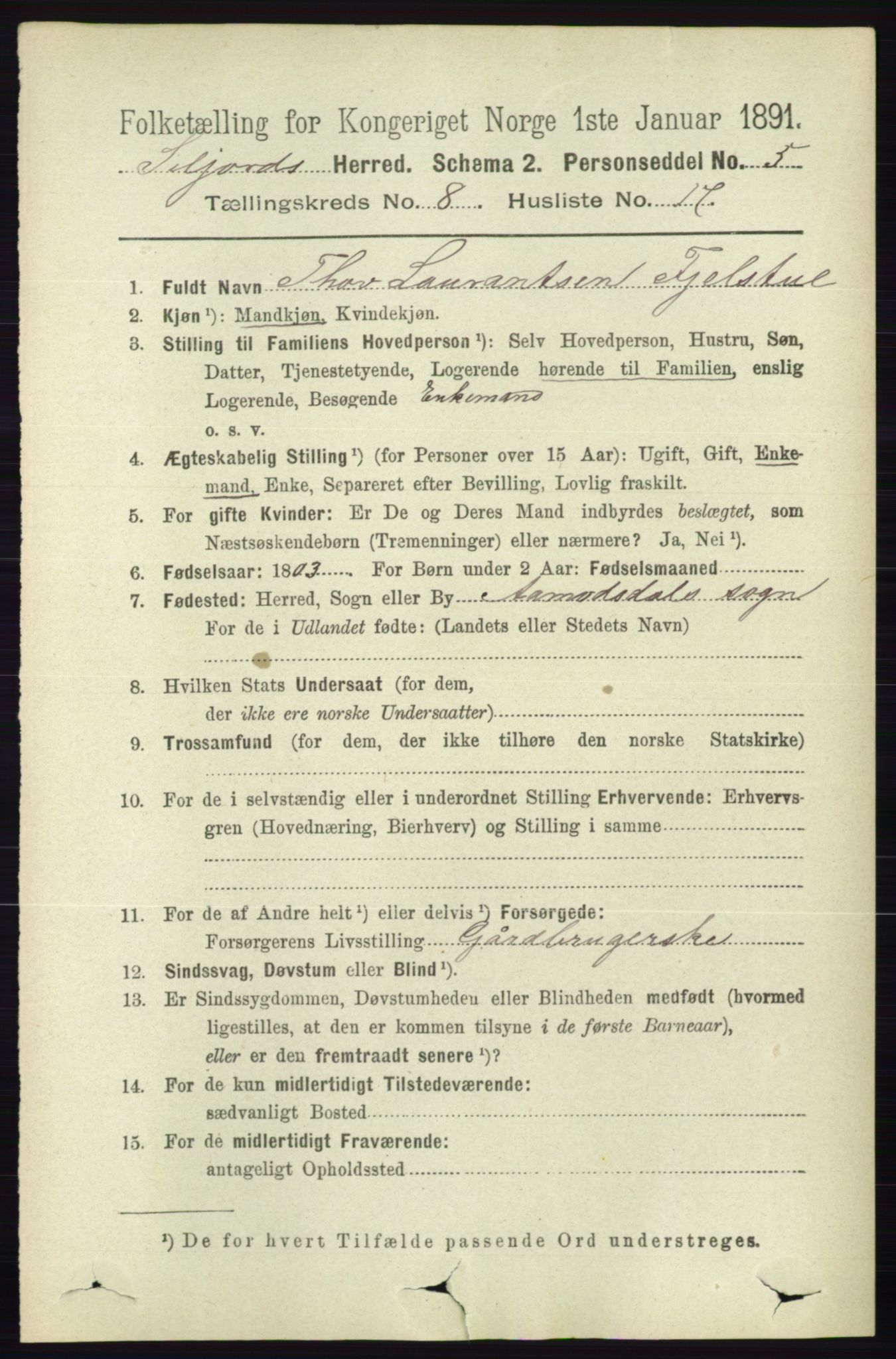 RA, 1891 census for 0828 Seljord, 1891, p. 2975