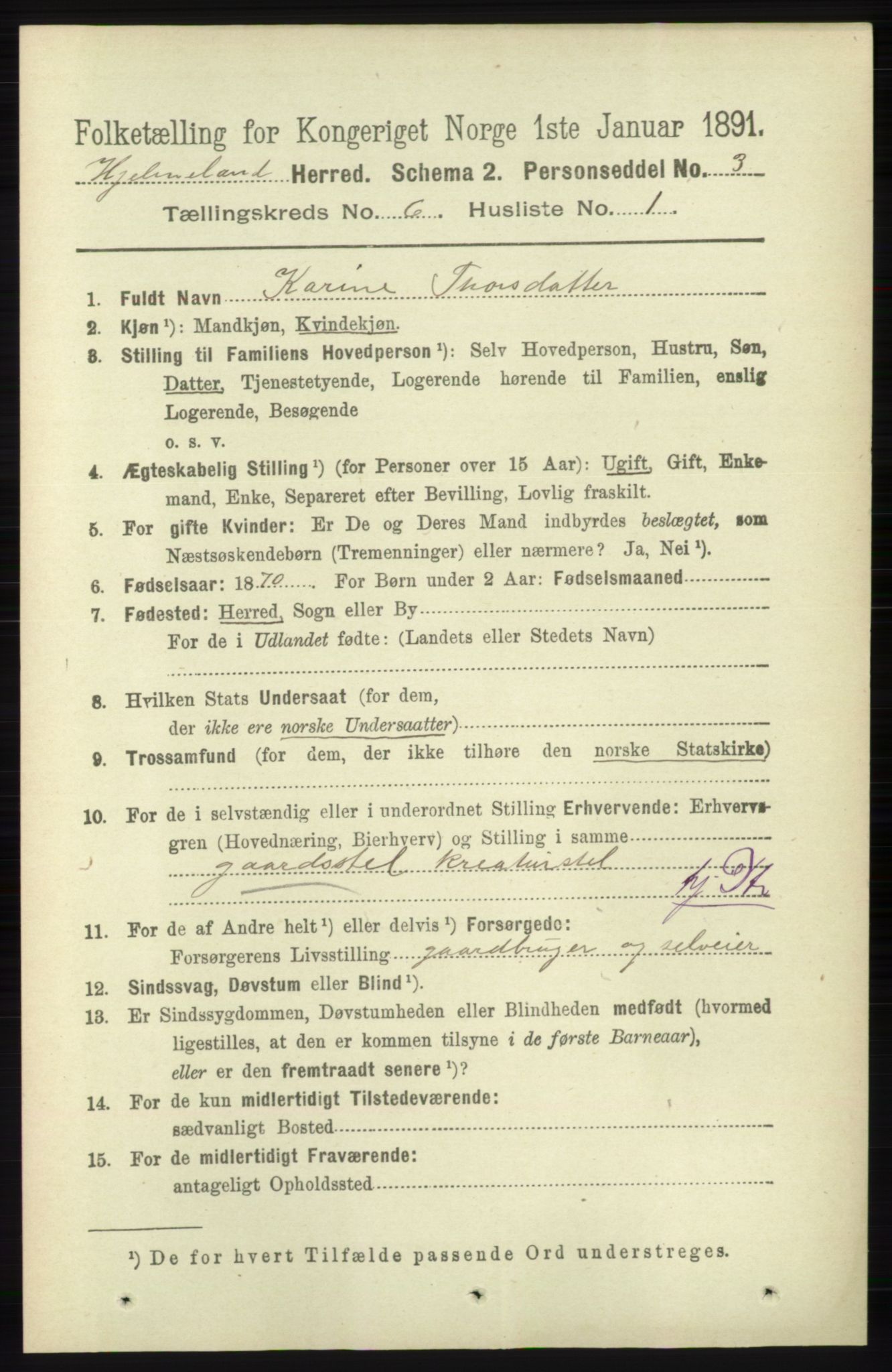 RA, 1891 census for 1133 Hjelmeland, 1891, p. 1558