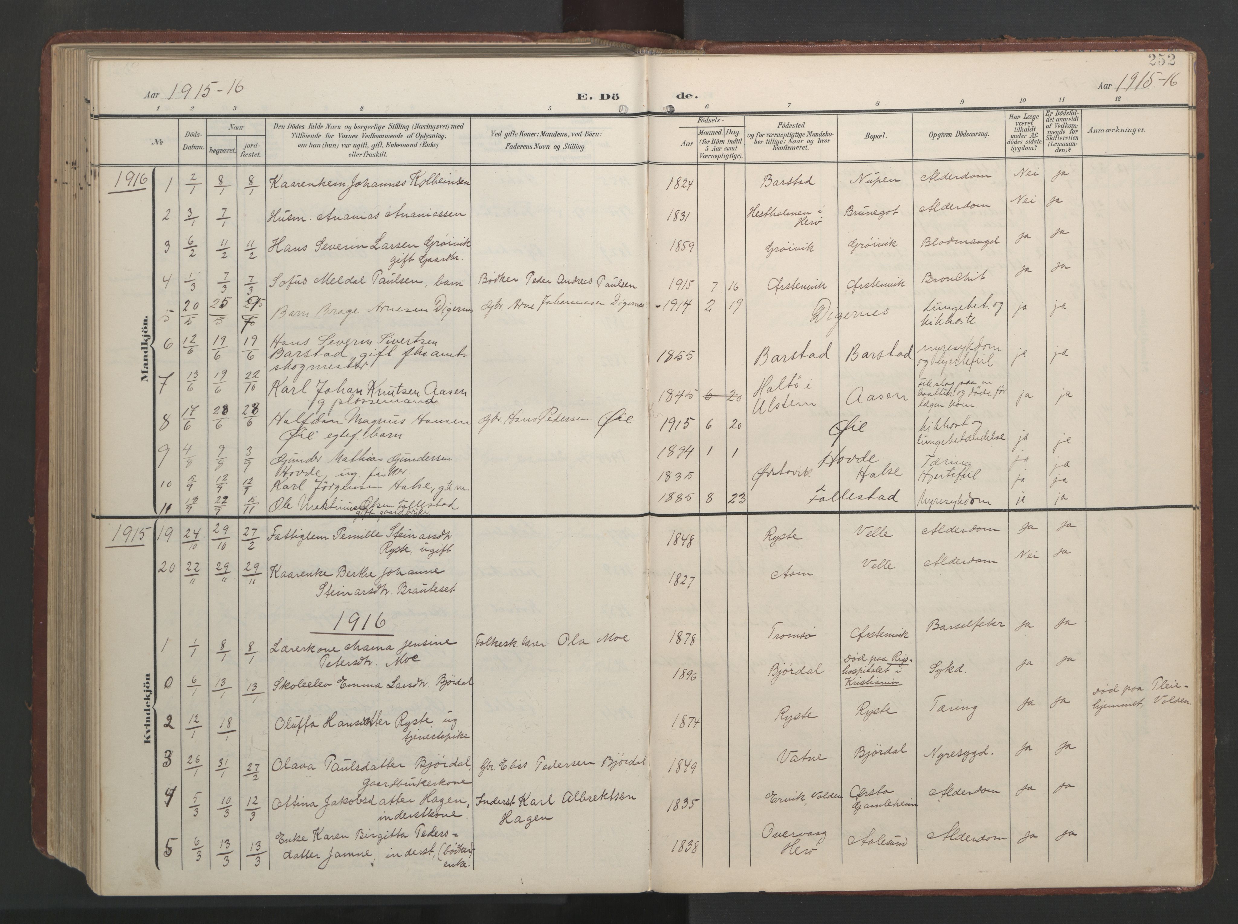 Ministerialprotokoller, klokkerbøker og fødselsregistre - Møre og Romsdal, AV/SAT-A-1454/513/L0190: Parish register (copy) no. 513C04, 1904-1926, p. 252