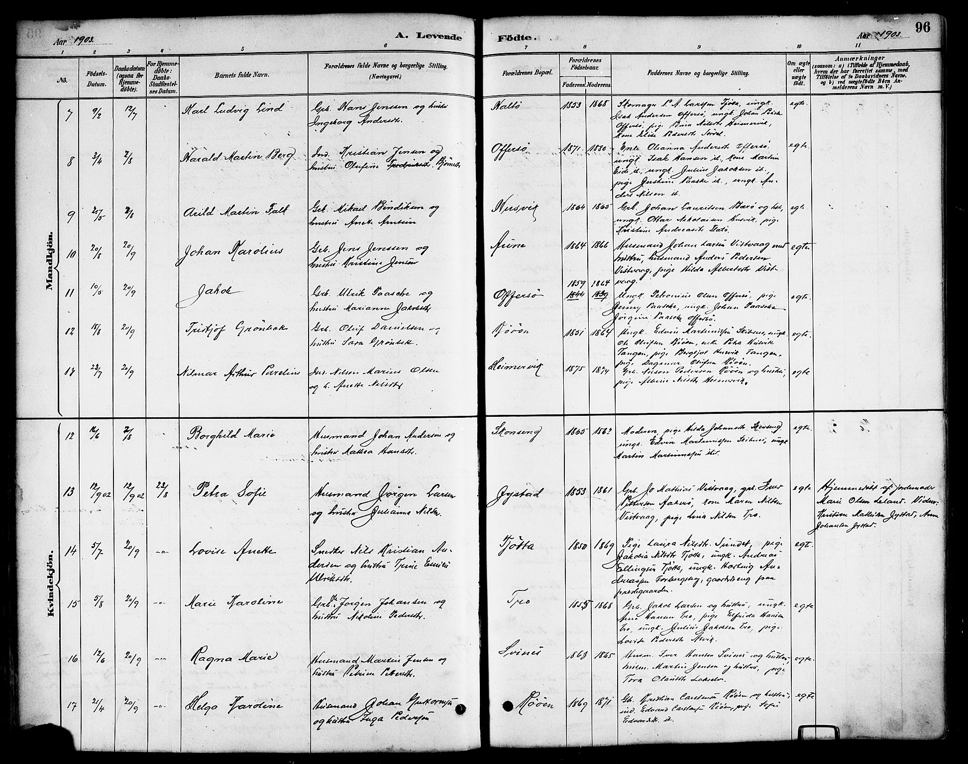 Ministerialprotokoller, klokkerbøker og fødselsregistre - Nordland, AV/SAT-A-1459/817/L0268: Parish register (copy) no. 817C03, 1884-1920, p. 96