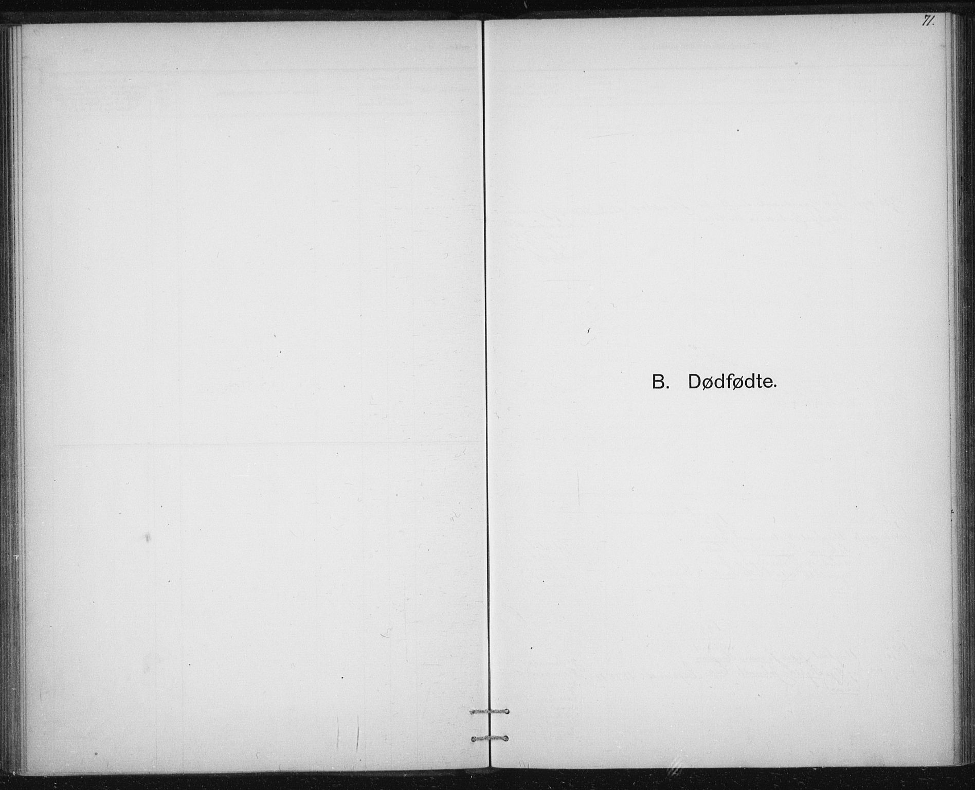 Ministerialprotokoller, klokkerbøker og fødselsregistre - Sør-Trøndelag, AV/SAT-A-1456/613/L0392: Parish register (official) no. 613A01, 1887-1906, p. 71