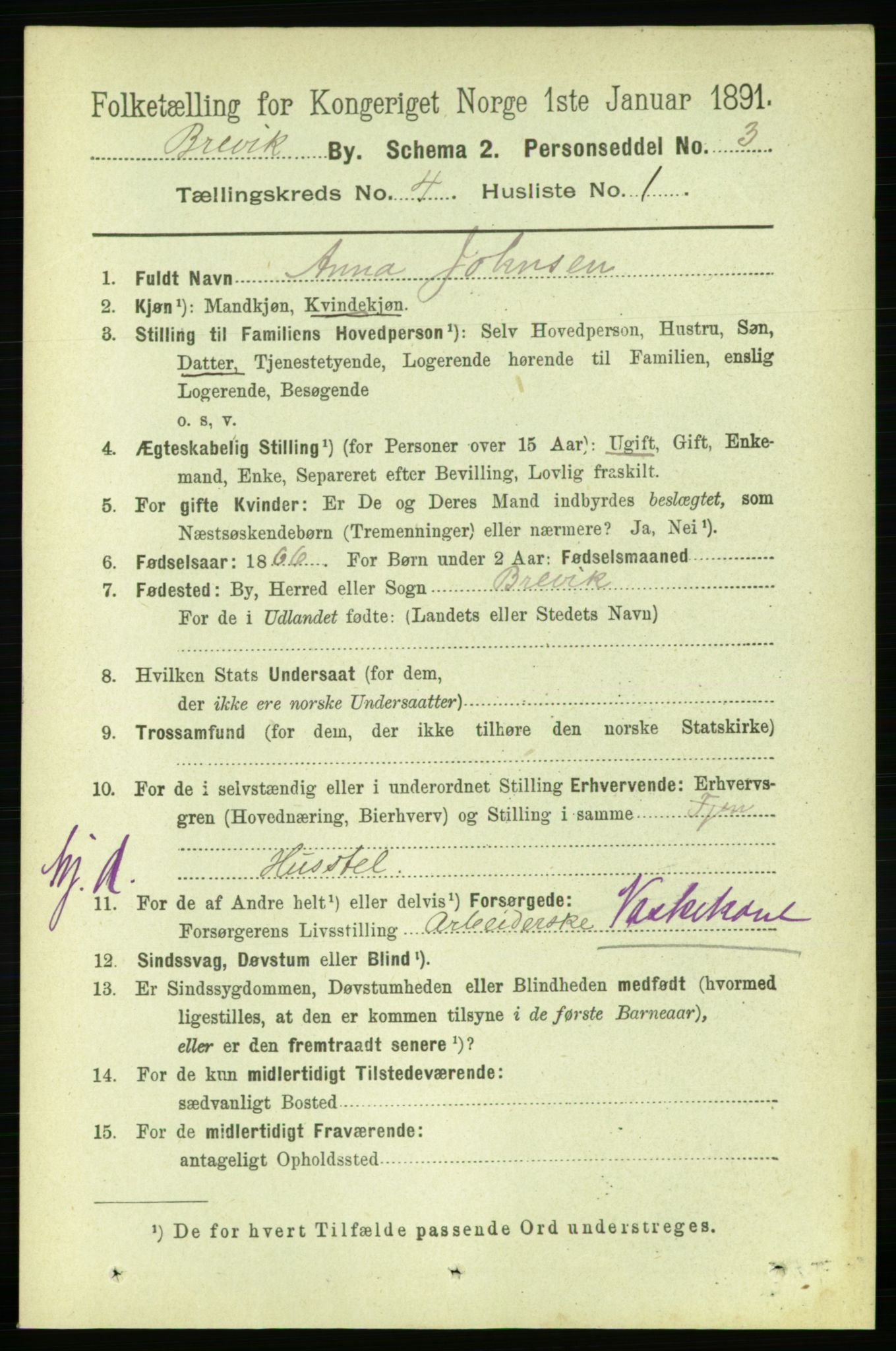 RA, 1891 census for 0804 Brevik, 1891, p. 2701