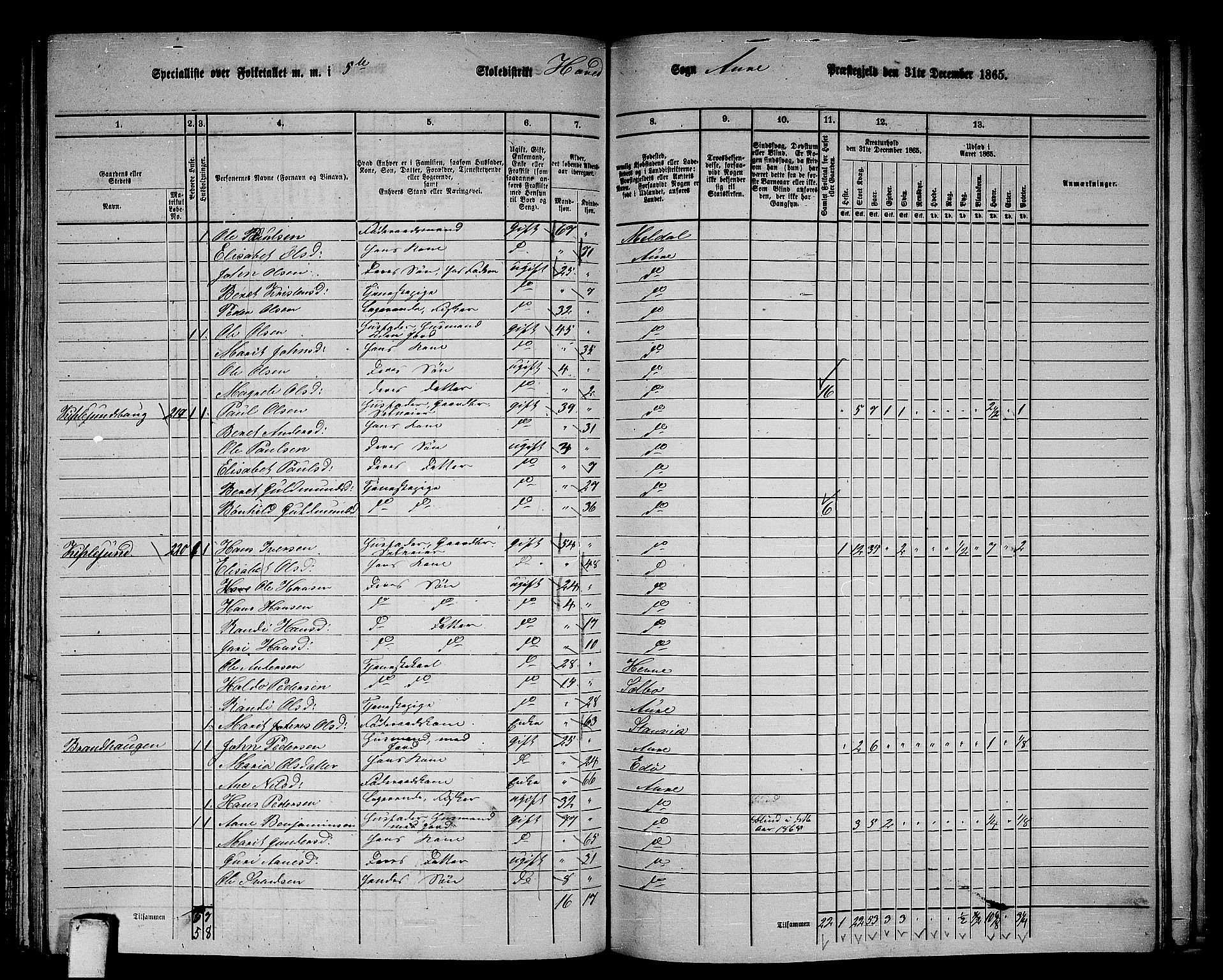 RA, 1865 census for Aure, 1865, p. 123