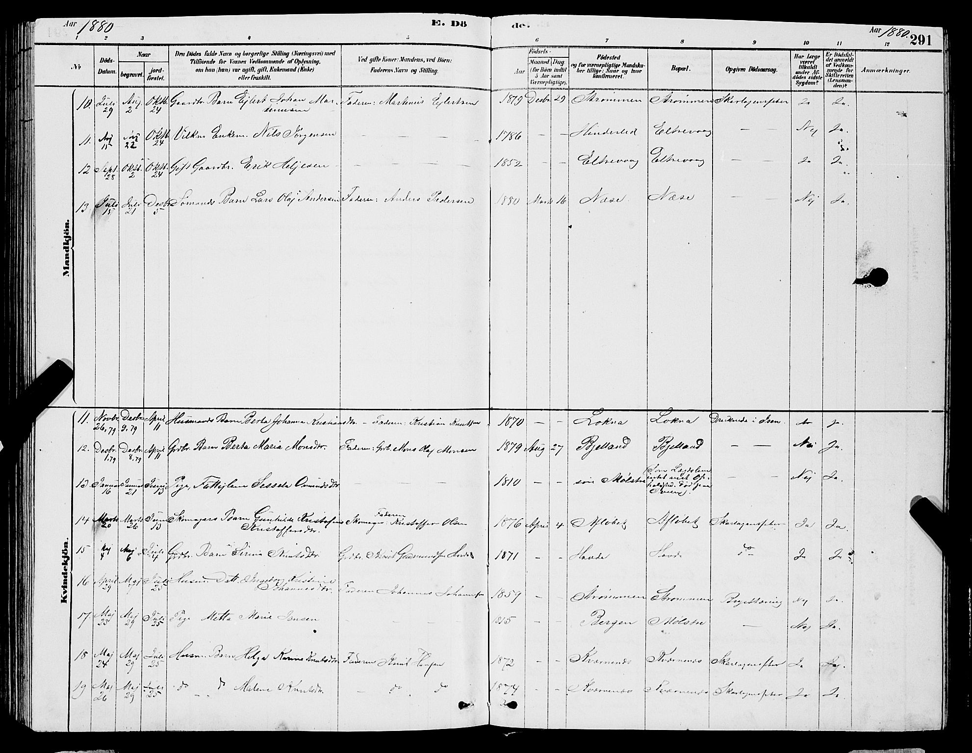 Sveio Sokneprestembete, AV/SAB-A-78501/H/Hab: Parish register (copy) no. A 3, 1878-1896, p. 291