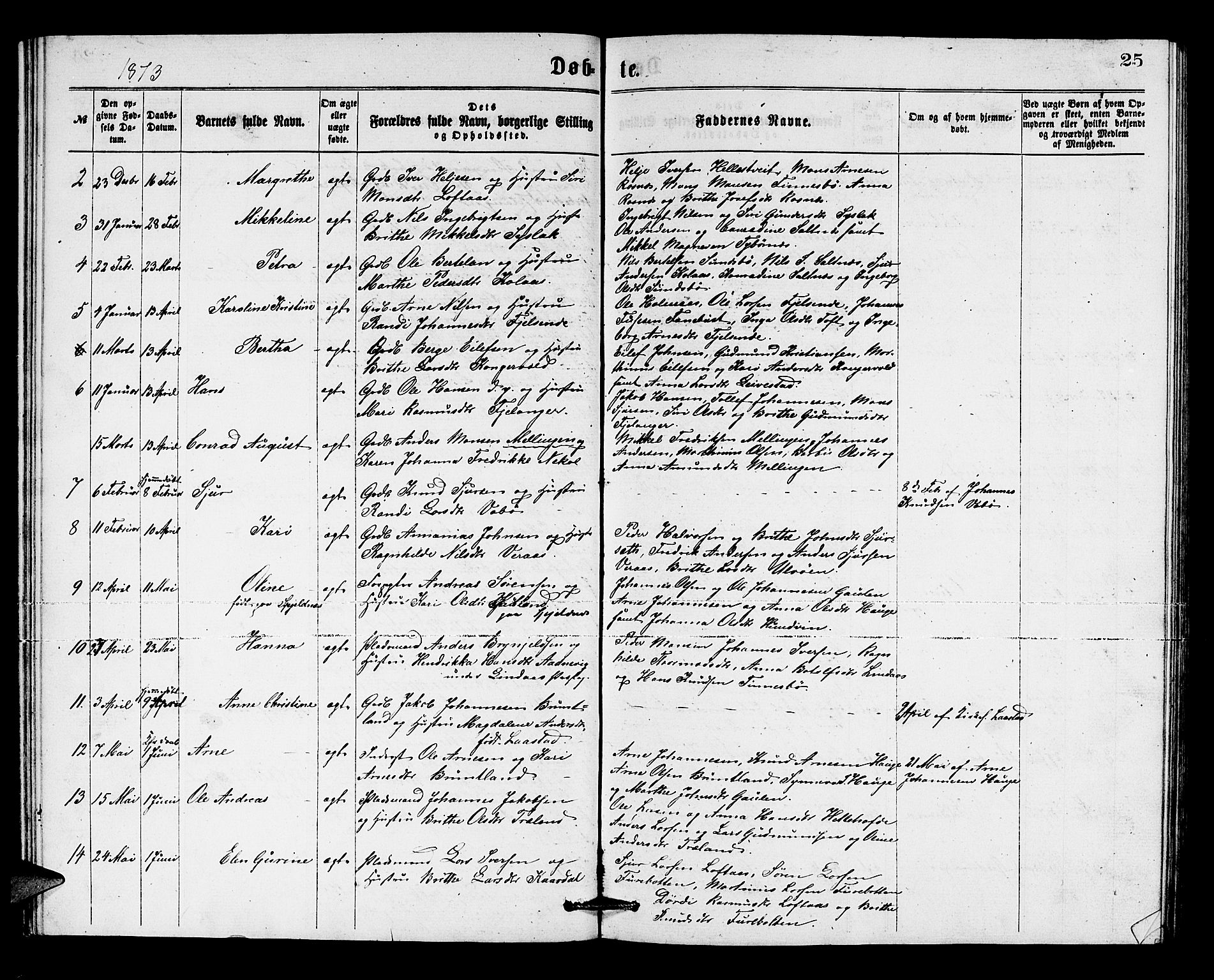 Lindås Sokneprestembete, SAB/A-76701/H/Hab: Parish register (copy) no. B 2, 1867-1885, p. 25