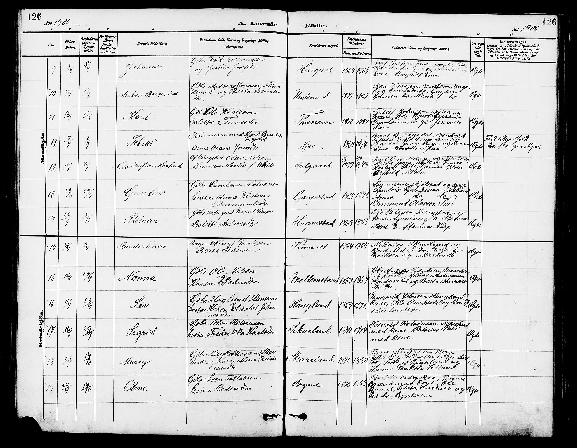 Lye sokneprestkontor, AV/SAST-A-101794/001/30BB/L0007: Parish register (copy) no. B 8, 1889-1909, p. 126