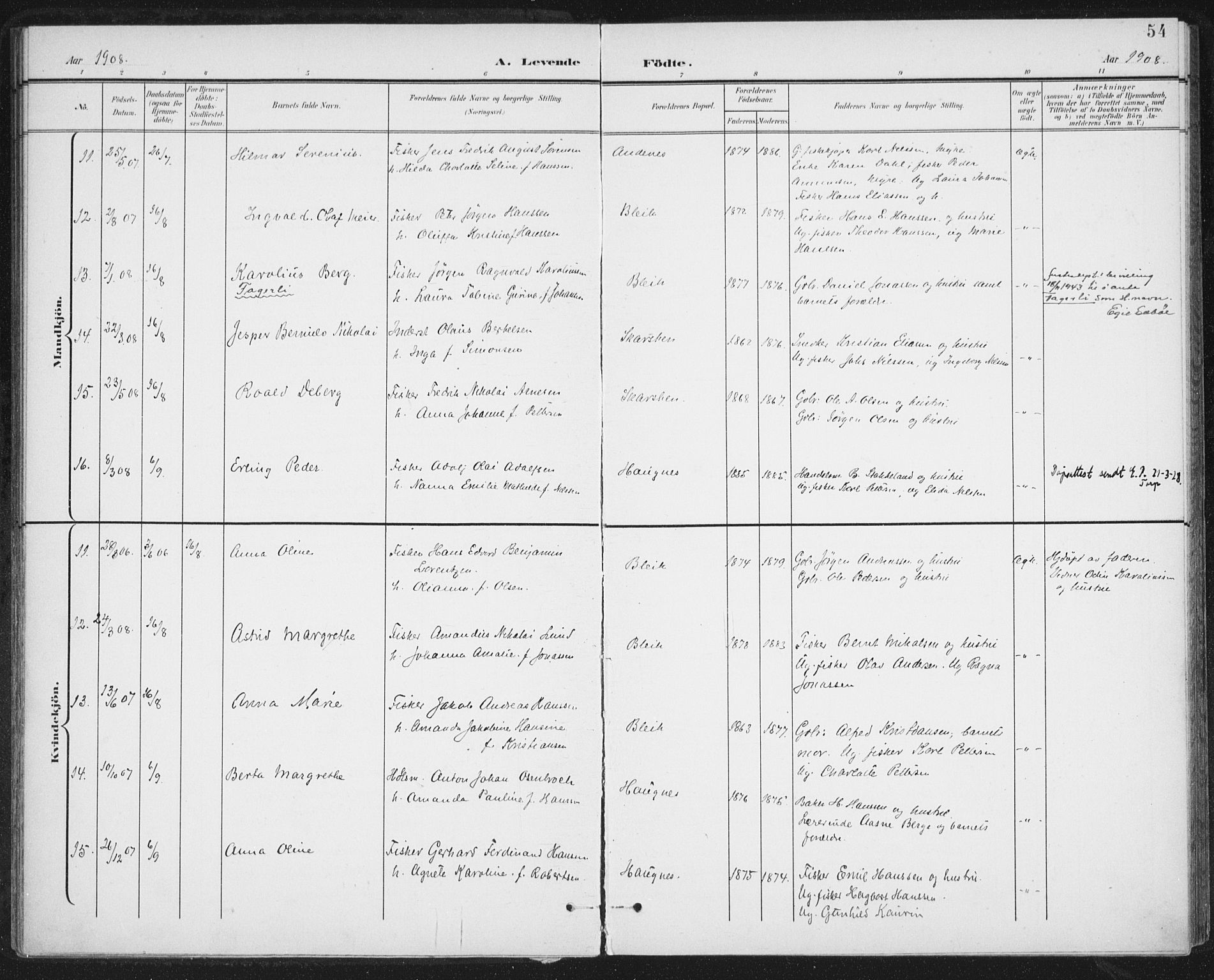 Ministerialprotokoller, klokkerbøker og fødselsregistre - Nordland, AV/SAT-A-1459/899/L1437: Parish register (official) no. 899A05, 1897-1908, p. 54