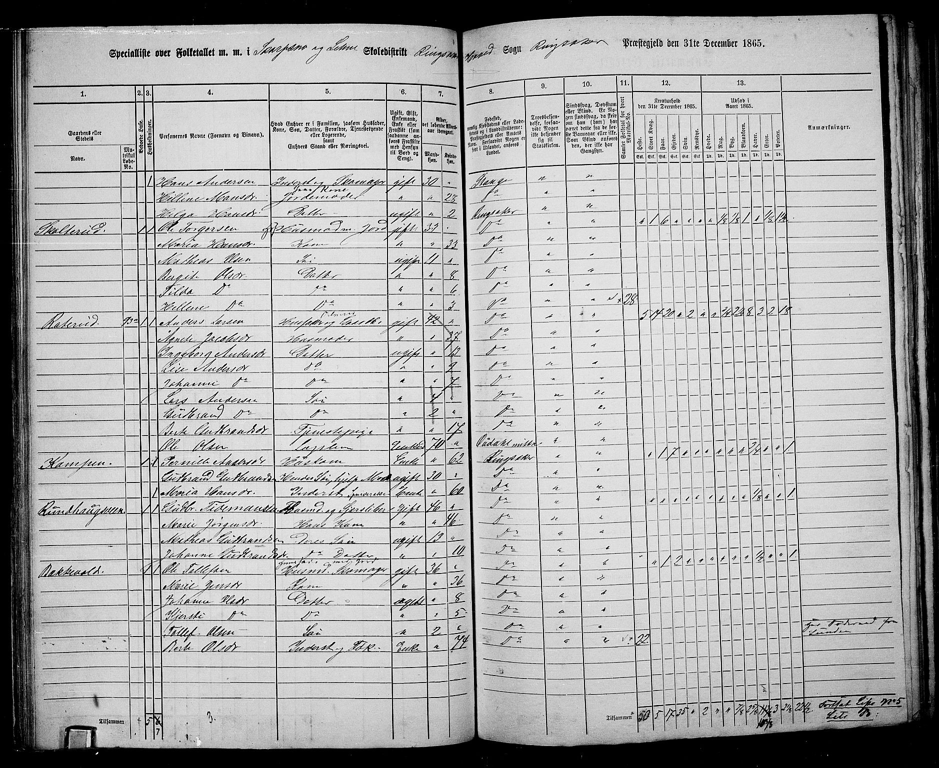 RA, 1865 census for Ringsaker, 1865, p. 124