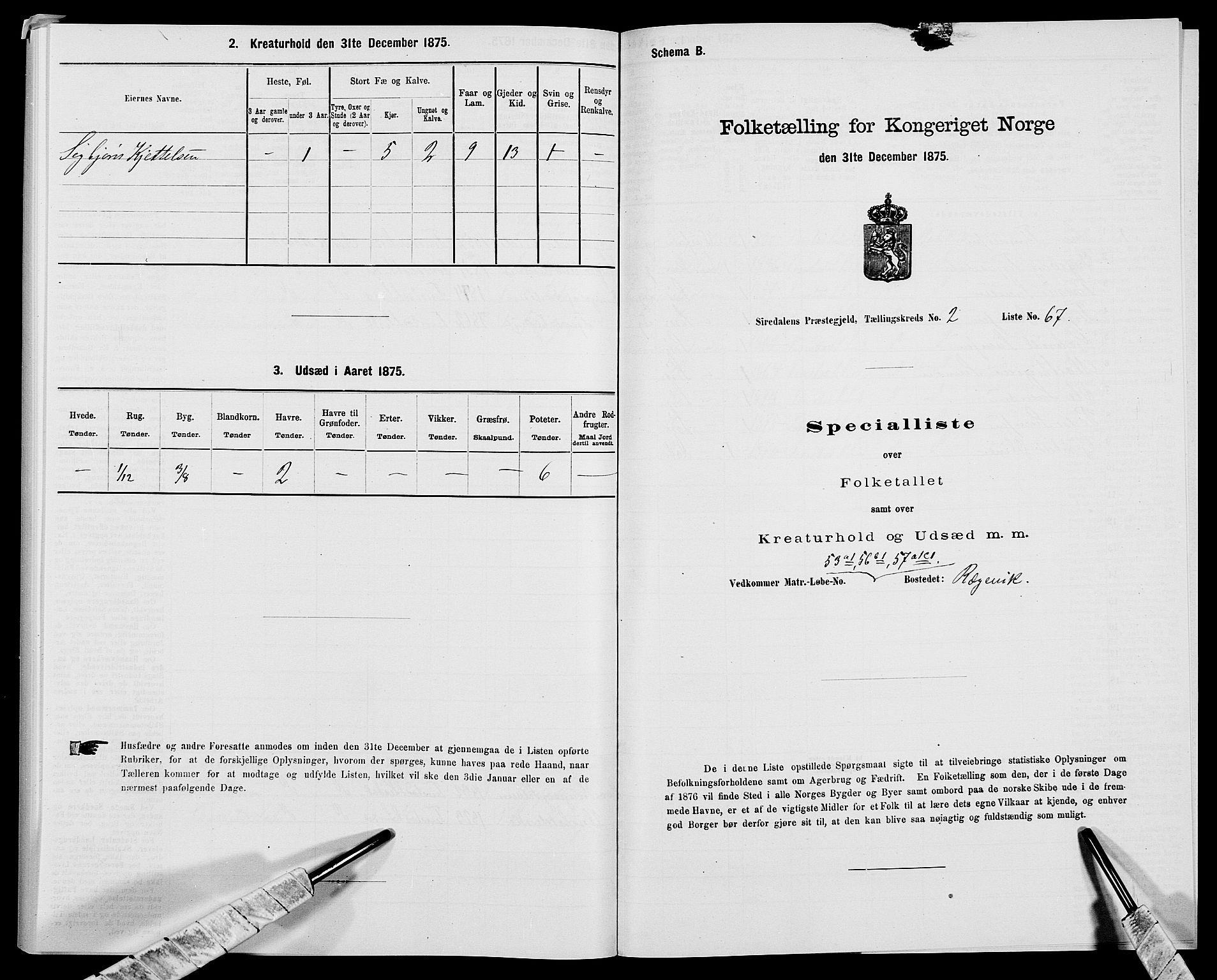 SAK, 1875 census for 1046P Sirdal, 1875, p. 270