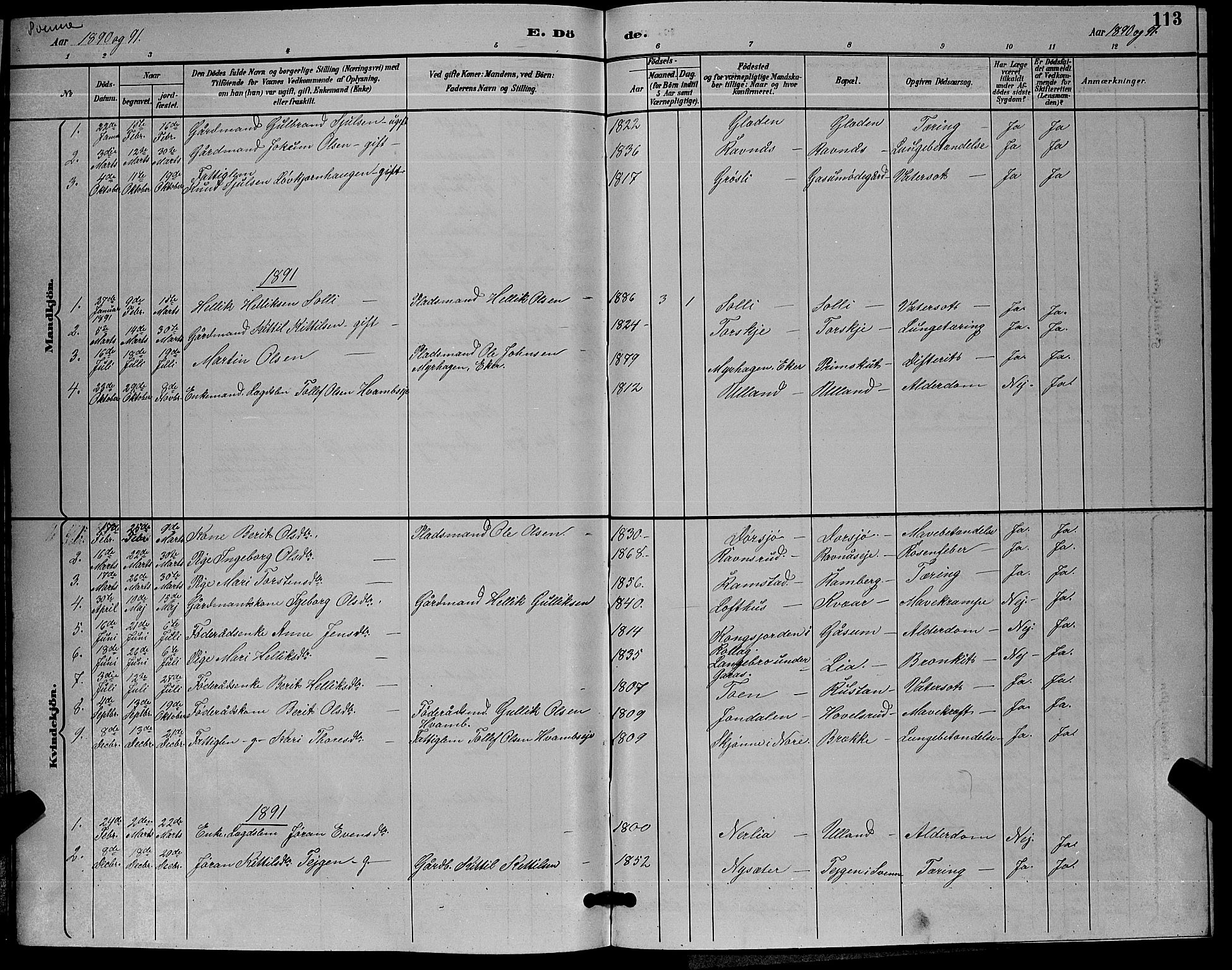 Flesberg kirkebøker, SAKO/A-18/G/Ga/L0004: Parish register (copy) no. I 4 /2, 1890-1898, p. 113