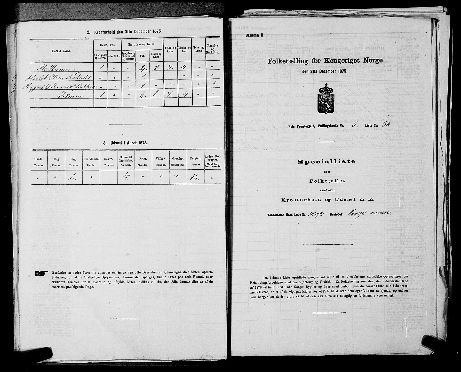 SAKO, 1875 census for 0620P Hol, 1875, p. 706