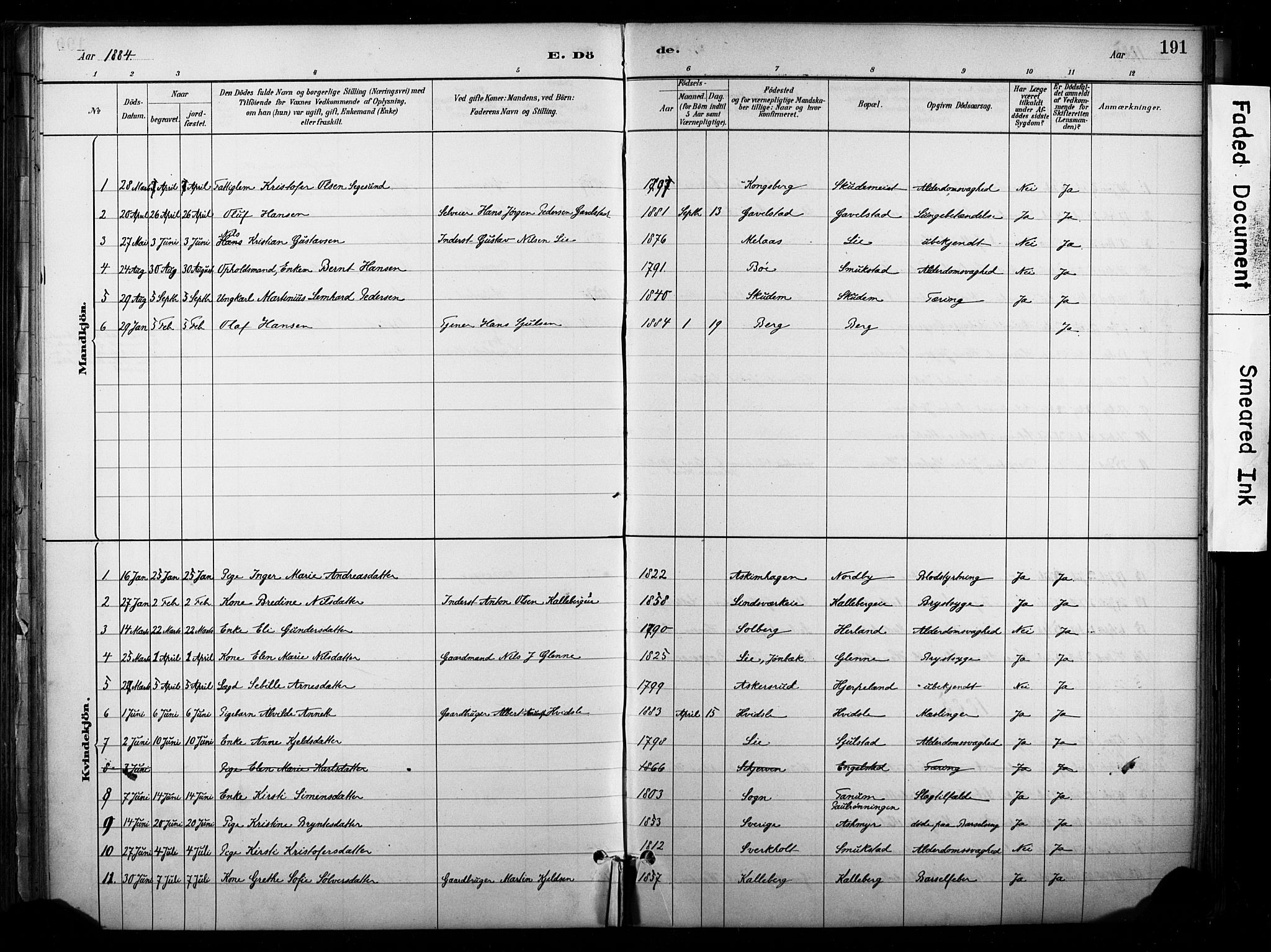 Lardal kirkebøker, SAKO/A-350/F/Fb/L0001: Parish register (official) no. II 1, 1881-1911, p. 191
