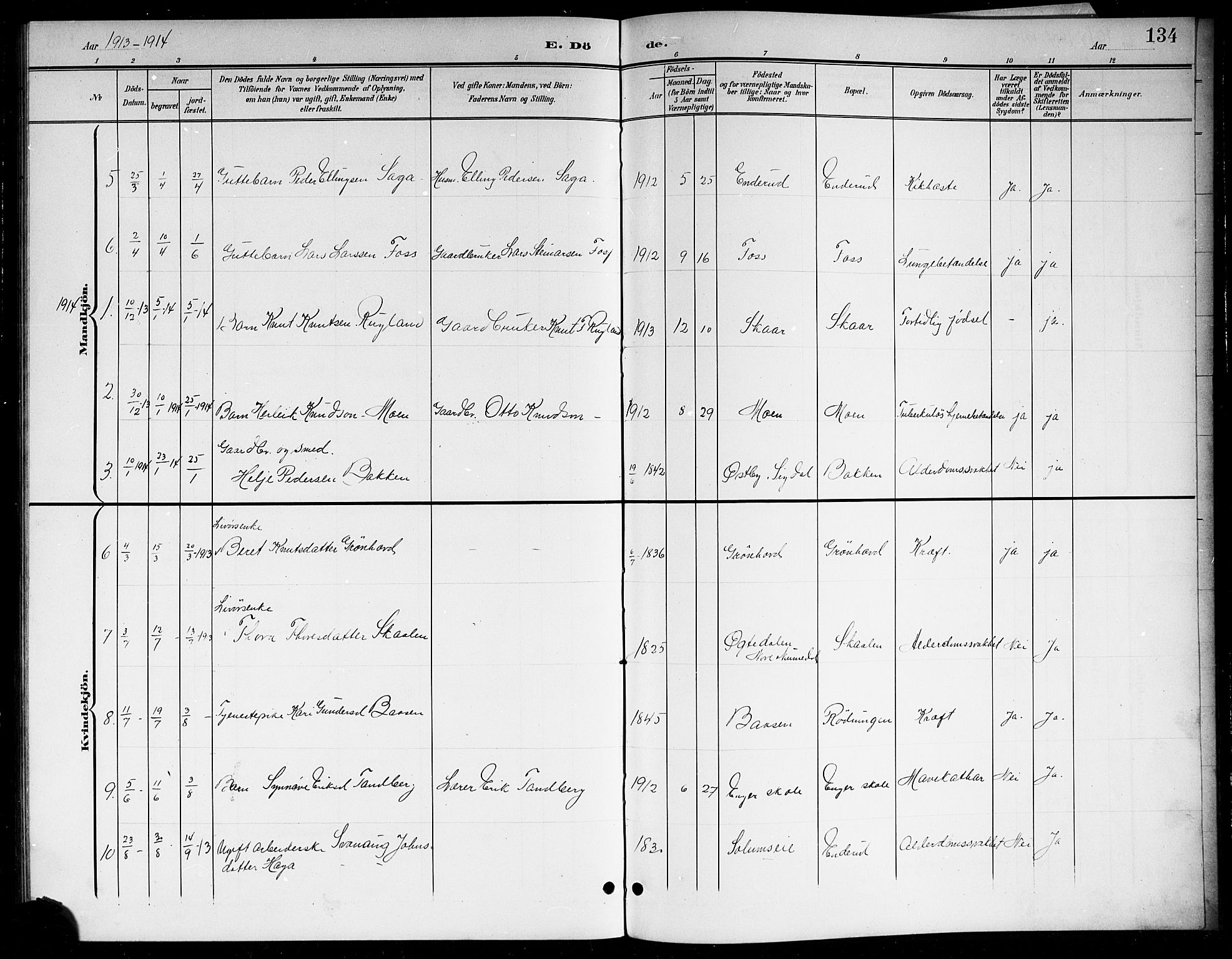 Sigdal kirkebøker, SAKO/A-245/G/Gb/L0003: Parish register (copy) no. II 3, 1901-1916, p. 134