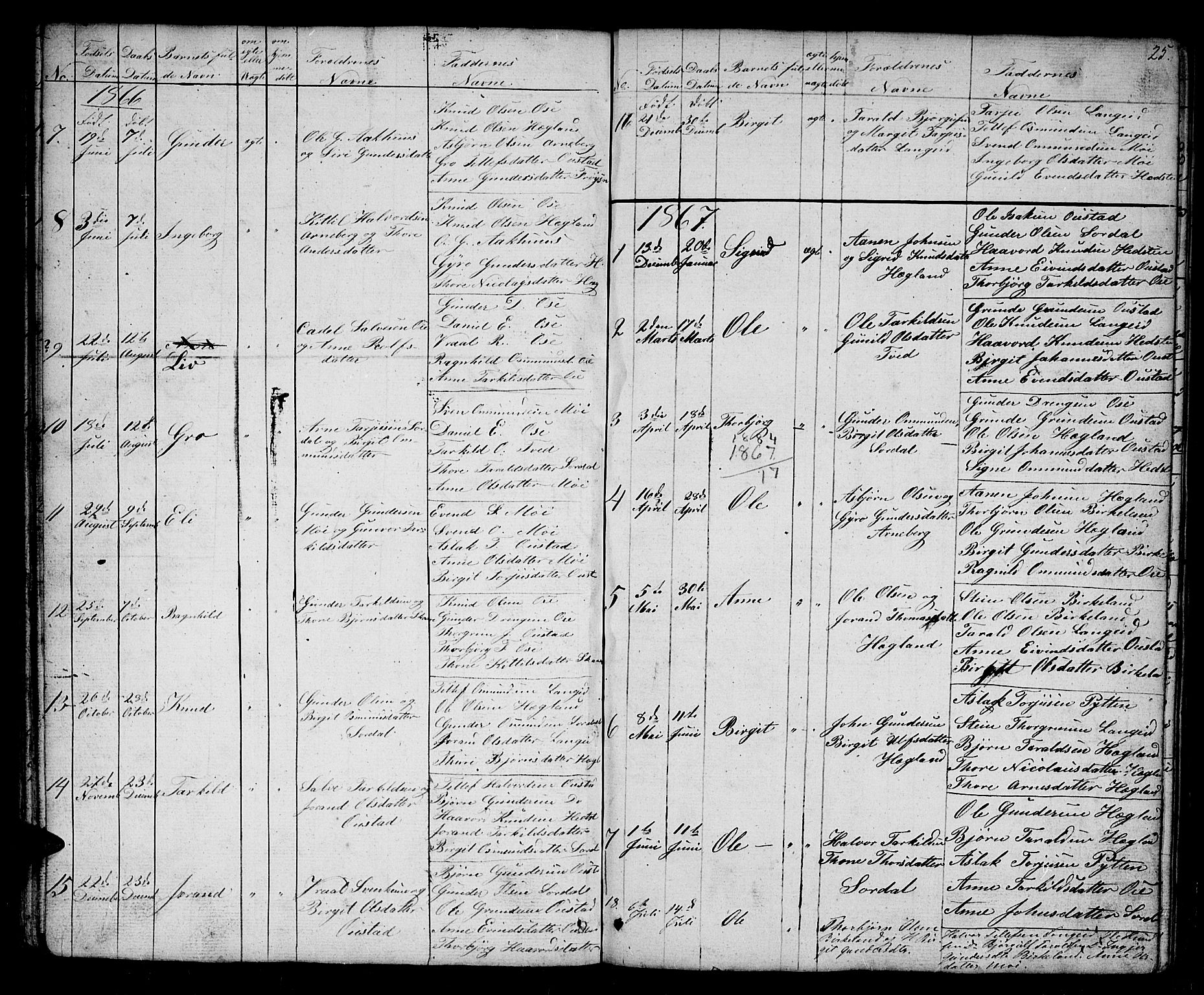 Bygland sokneprestkontor, SAK/1111-0006/F/Fb/Fba/L0001: Parish register (copy) no. B 1, 1848-1886, p. 25