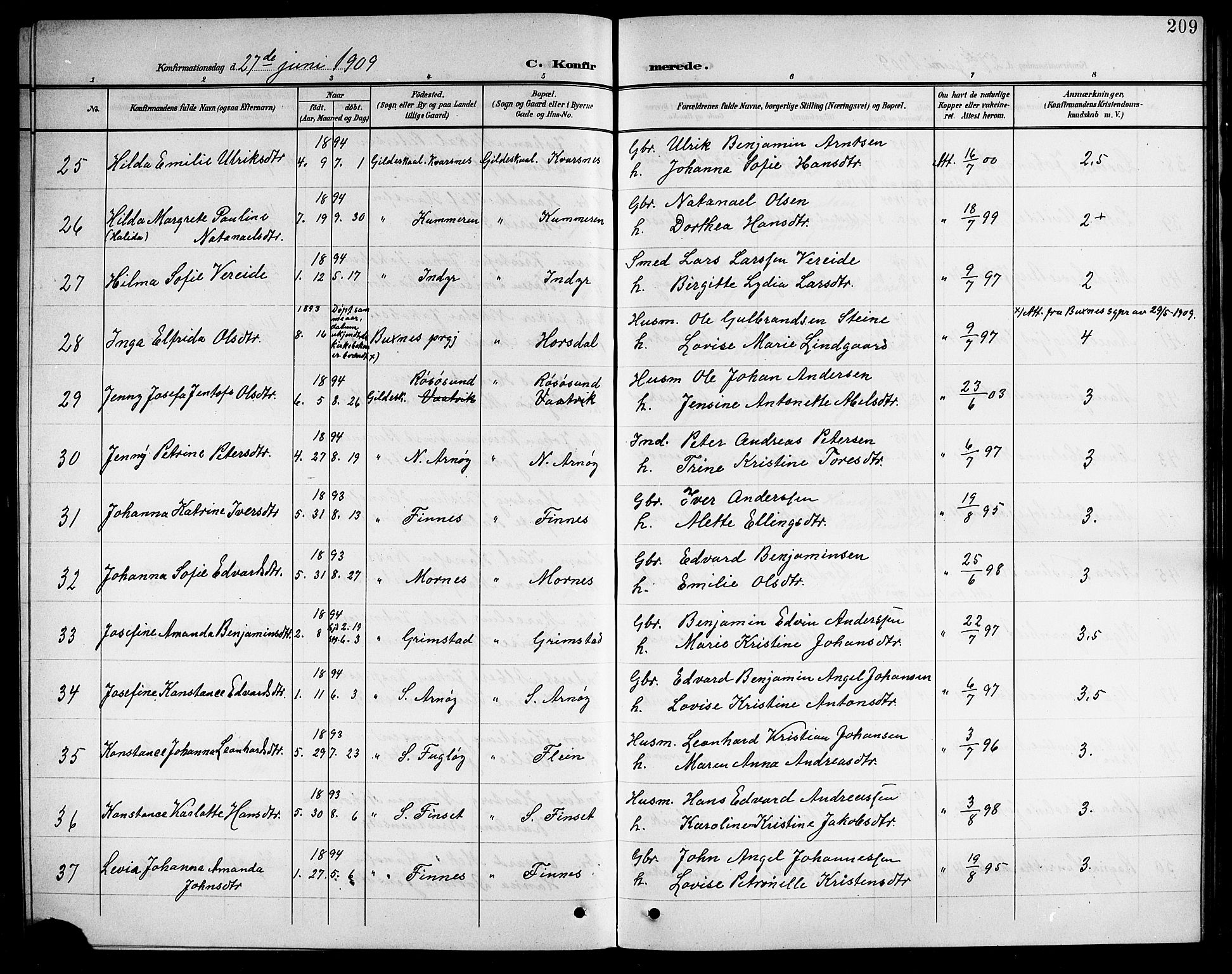 Ministerialprotokoller, klokkerbøker og fødselsregistre - Nordland, AV/SAT-A-1459/805/L0109: Parish register (copy) no. 805C05, 1900-1911, p. 209