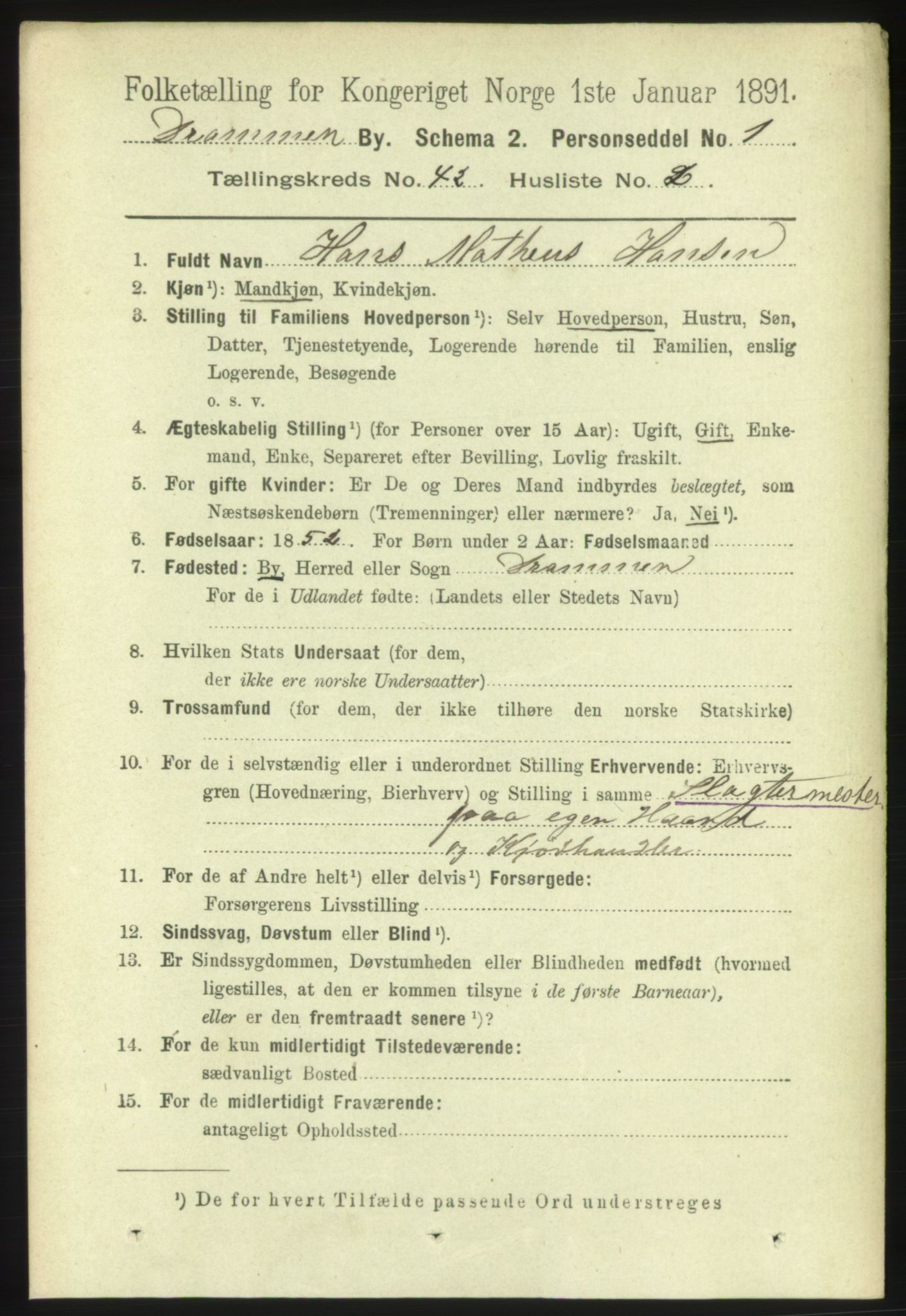 RA, 1891 census for 0602 Drammen, 1891, p. 24480