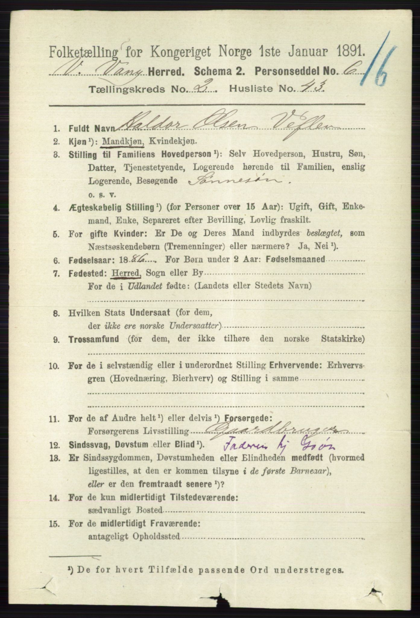 RA, 1891 census for 0545 Vang, 1891, p. 676