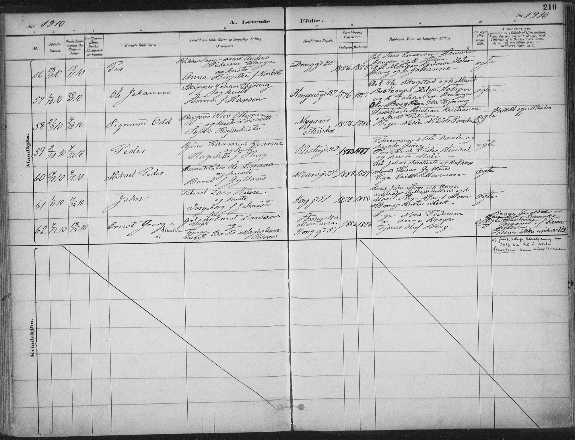 Ministerialprotokoller, klokkerbøker og fødselsregistre - Sør-Trøndelag, SAT/A-1456/601/L0062: Parish register (official) no. 601A30, 1891-1911, p. 219