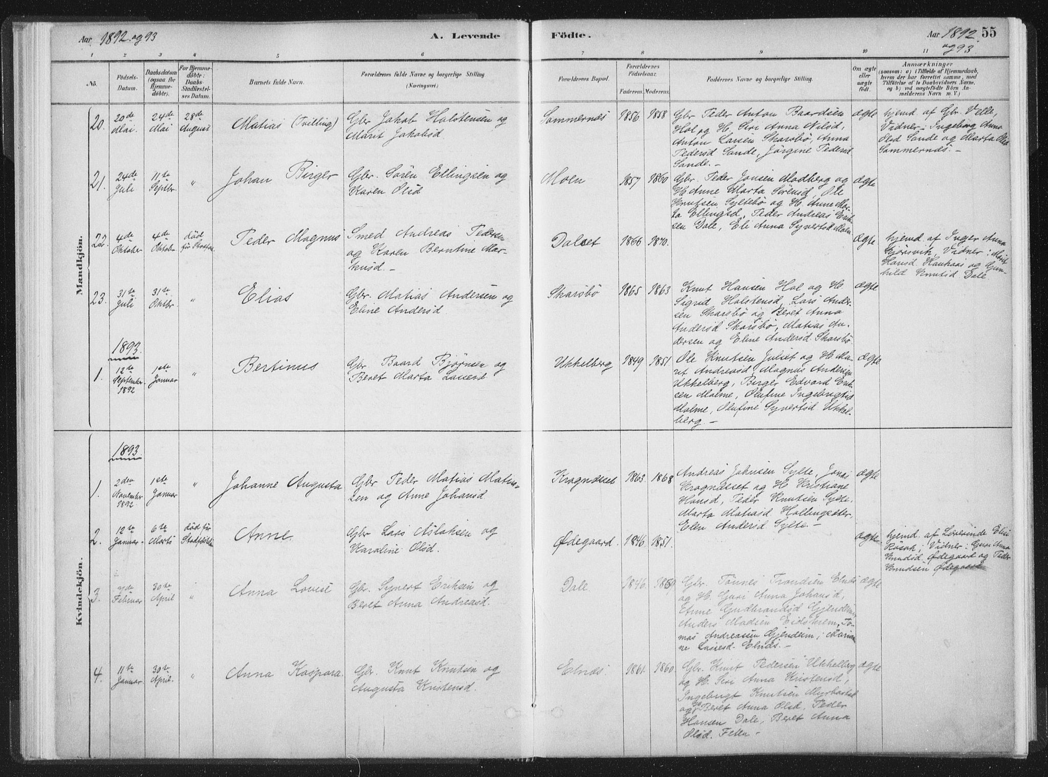 Ministerialprotokoller, klokkerbøker og fødselsregistre - Møre og Romsdal, AV/SAT-A-1454/564/L0740: Parish register (official) no. 564A01, 1880-1899, p. 55