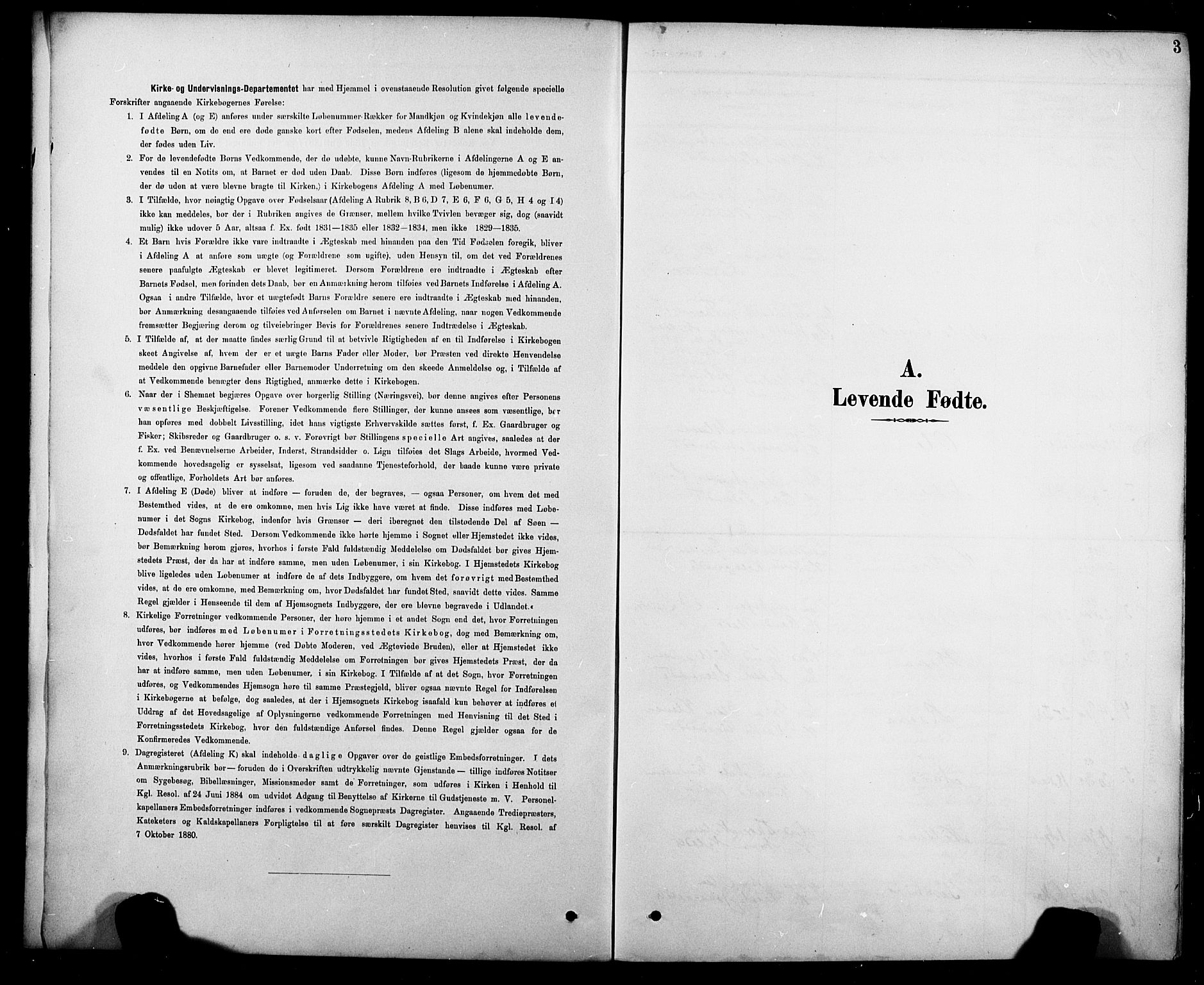 Krødsherad kirkebøker, SAKO/A-19/G/Ga/L0002: Parish register (copy) no. 2, 1894-1918, p. 3