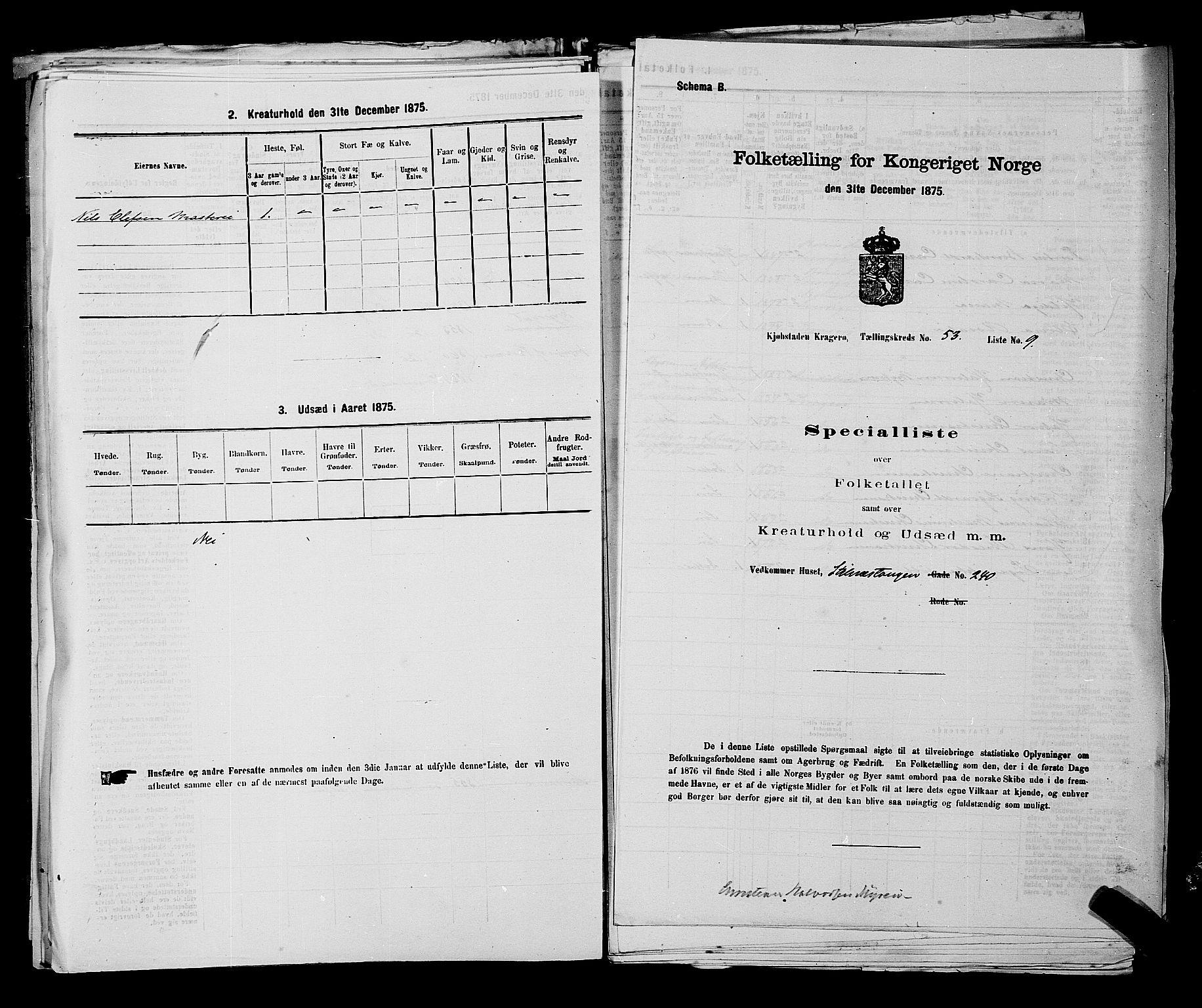 SAKO, 1875 census for 0801P Kragerø, 1875, p. 1180