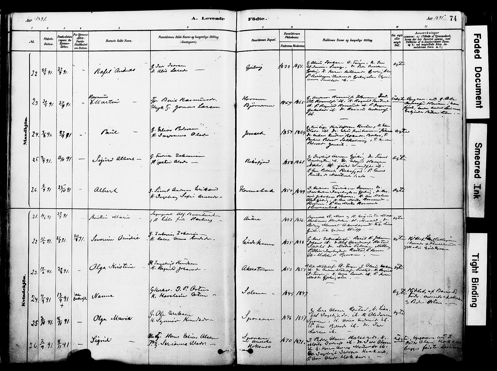 Ministerialprotokoller, klokkerbøker og fødselsregistre - Møre og Romsdal, SAT/A-1454/560/L0721: Parish register (official) no. 560A05, 1878-1917, p. 74