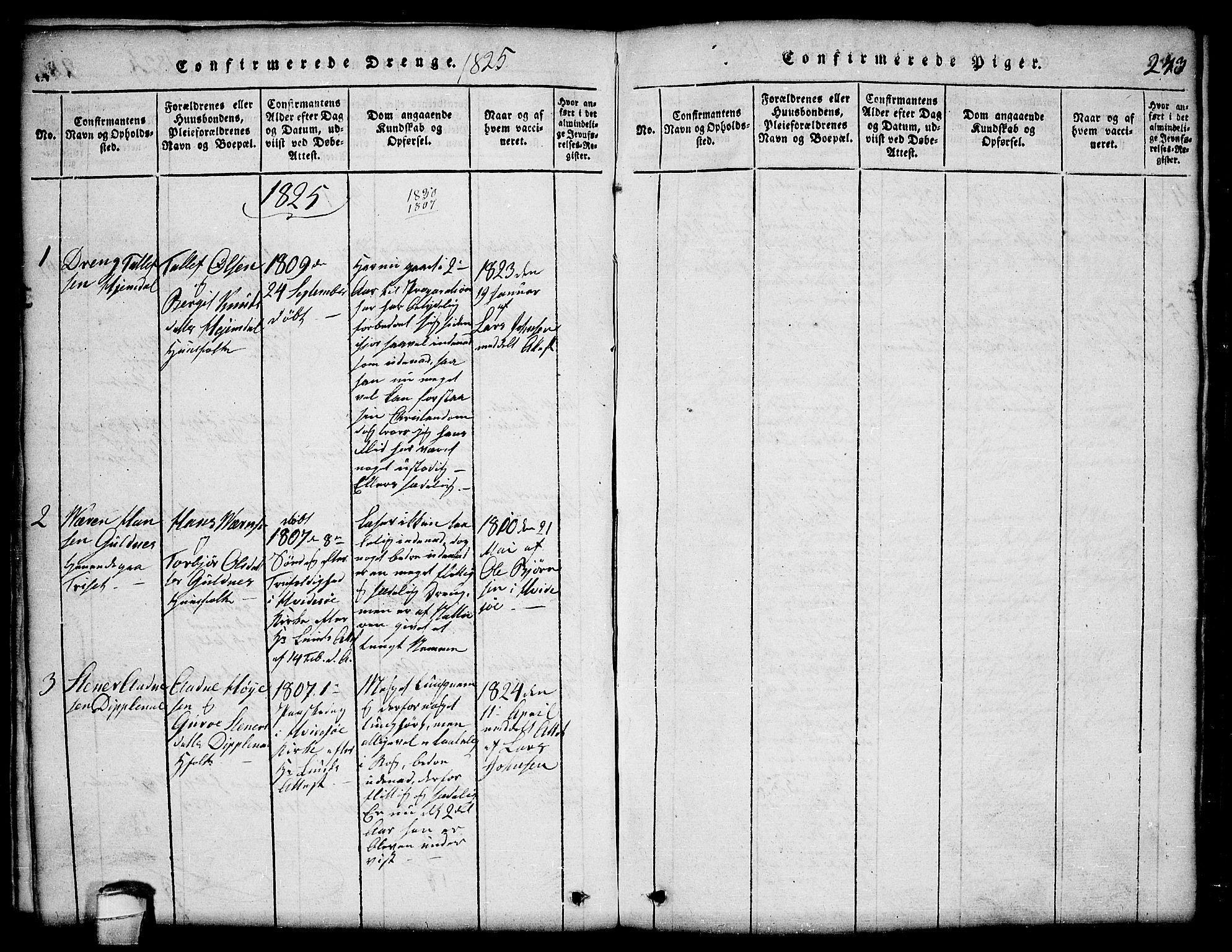 Lårdal kirkebøker, SAKO/A-284/G/Ga/L0001: Parish register (copy) no. I 1, 1815-1861, p. 243
