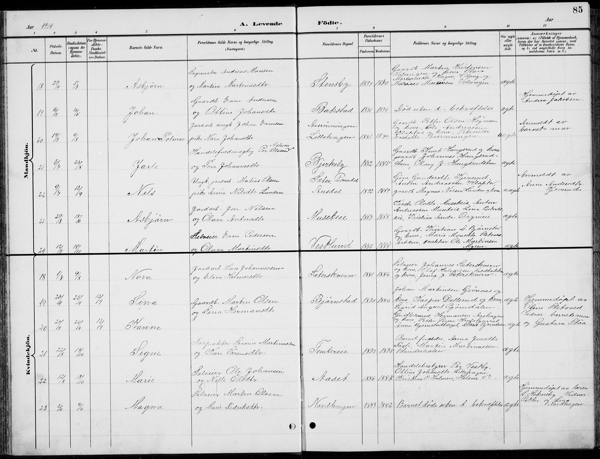 Romedal prestekontor, AV/SAH-PREST-004/L/L0013: Parish register (copy) no. 13, 1896-1937, p. 85