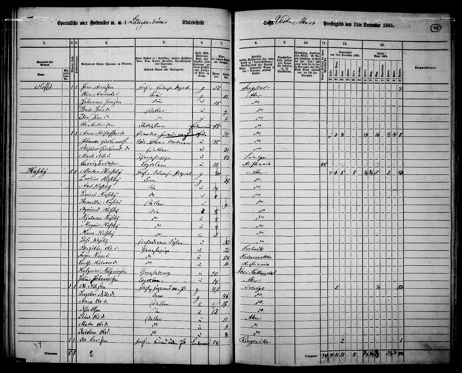 RA, 1865 census for Vestre Aker, 1865, p. 72