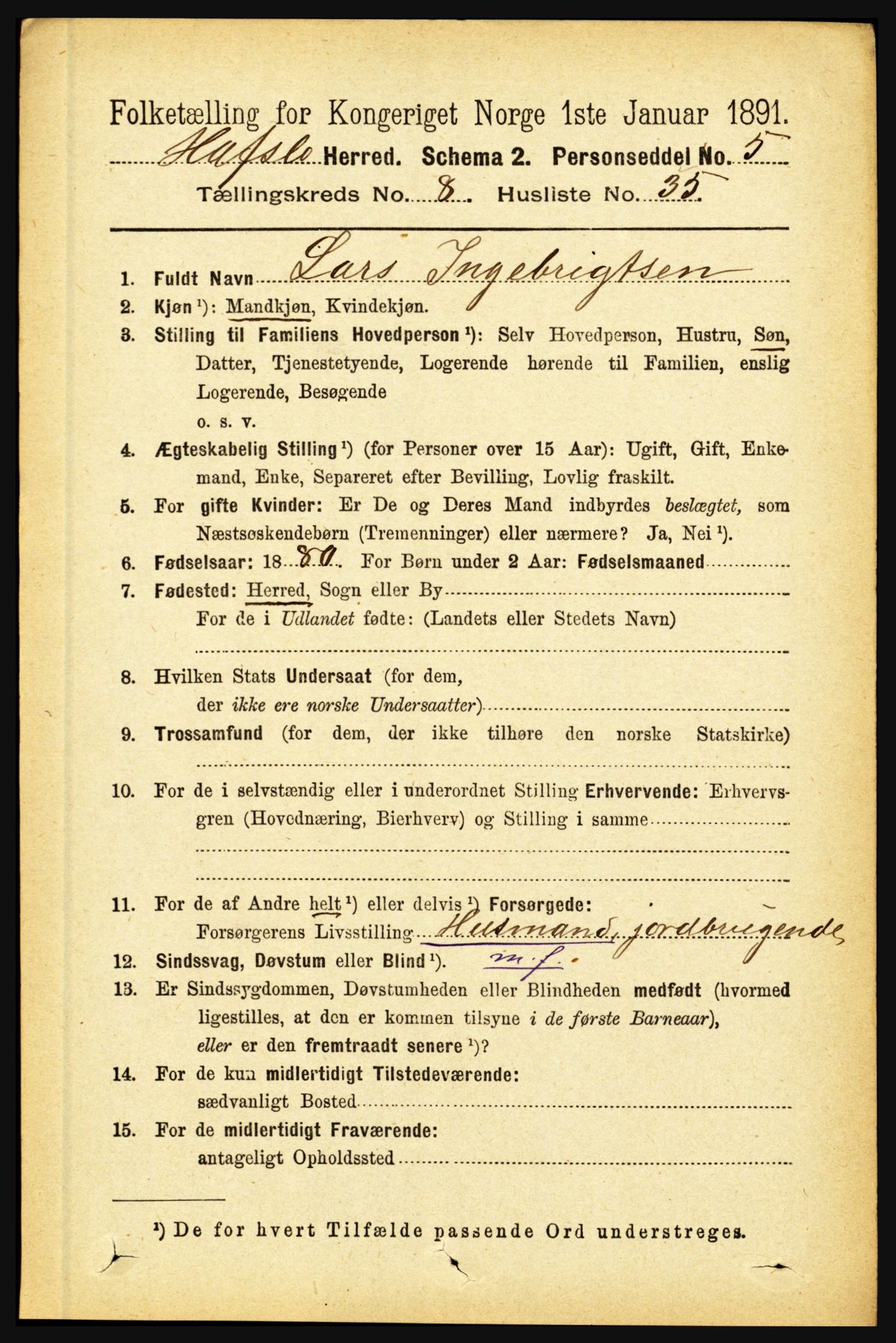 RA, 1891 census for 1425 Hafslo, 1891, p. 3354