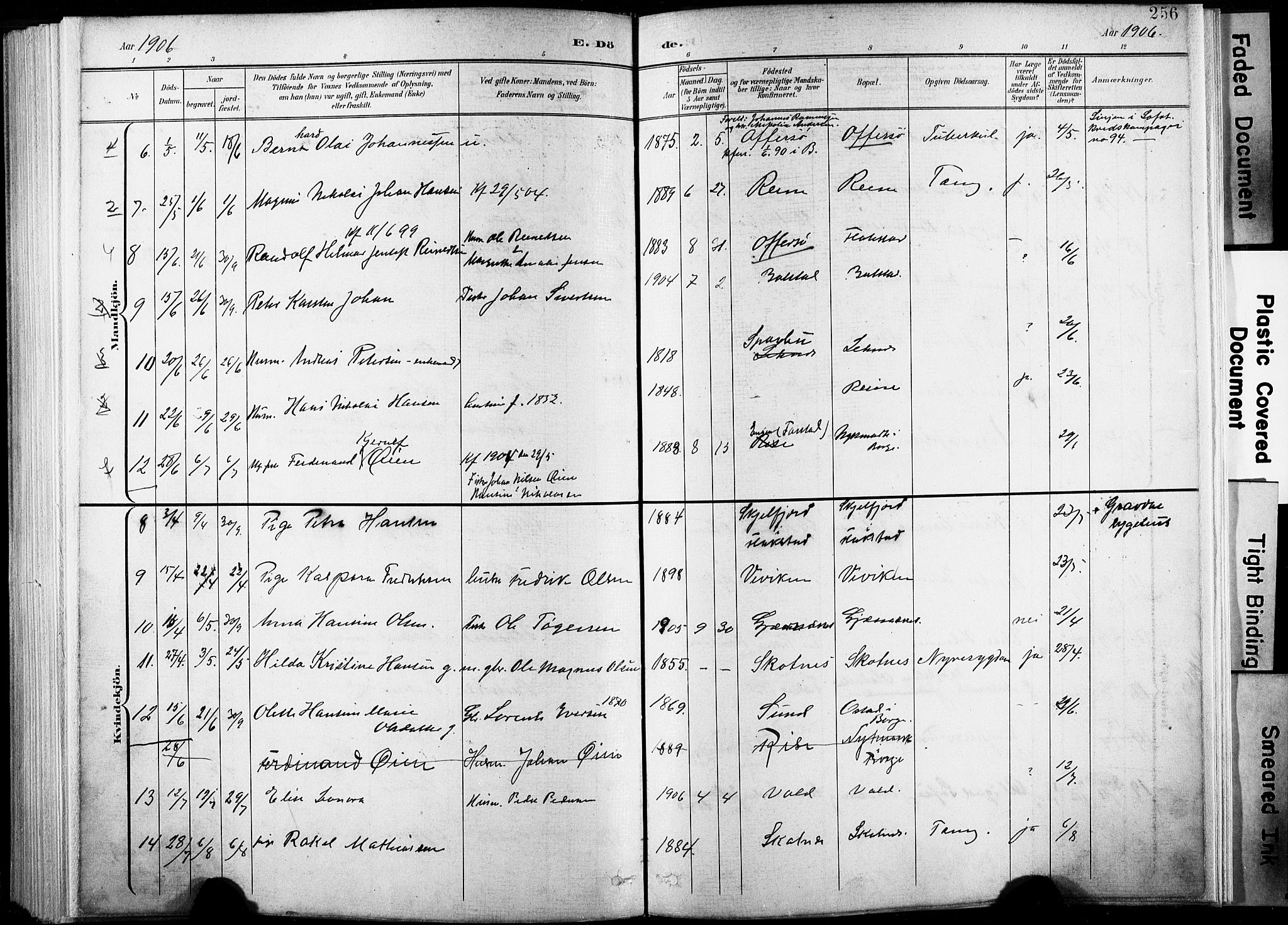 Ministerialprotokoller, klokkerbøker og fødselsregistre - Nordland, AV/SAT-A-1459/881/L1151: Parish register (official) no. 881A04, 1899-1907, p. 256