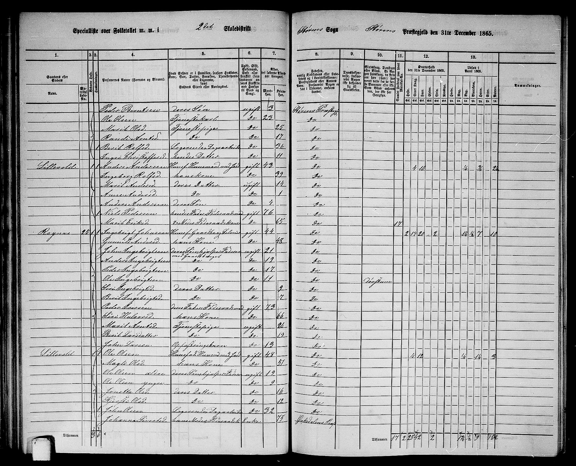 RA, 1865 census for Støren, 1865, p. 45