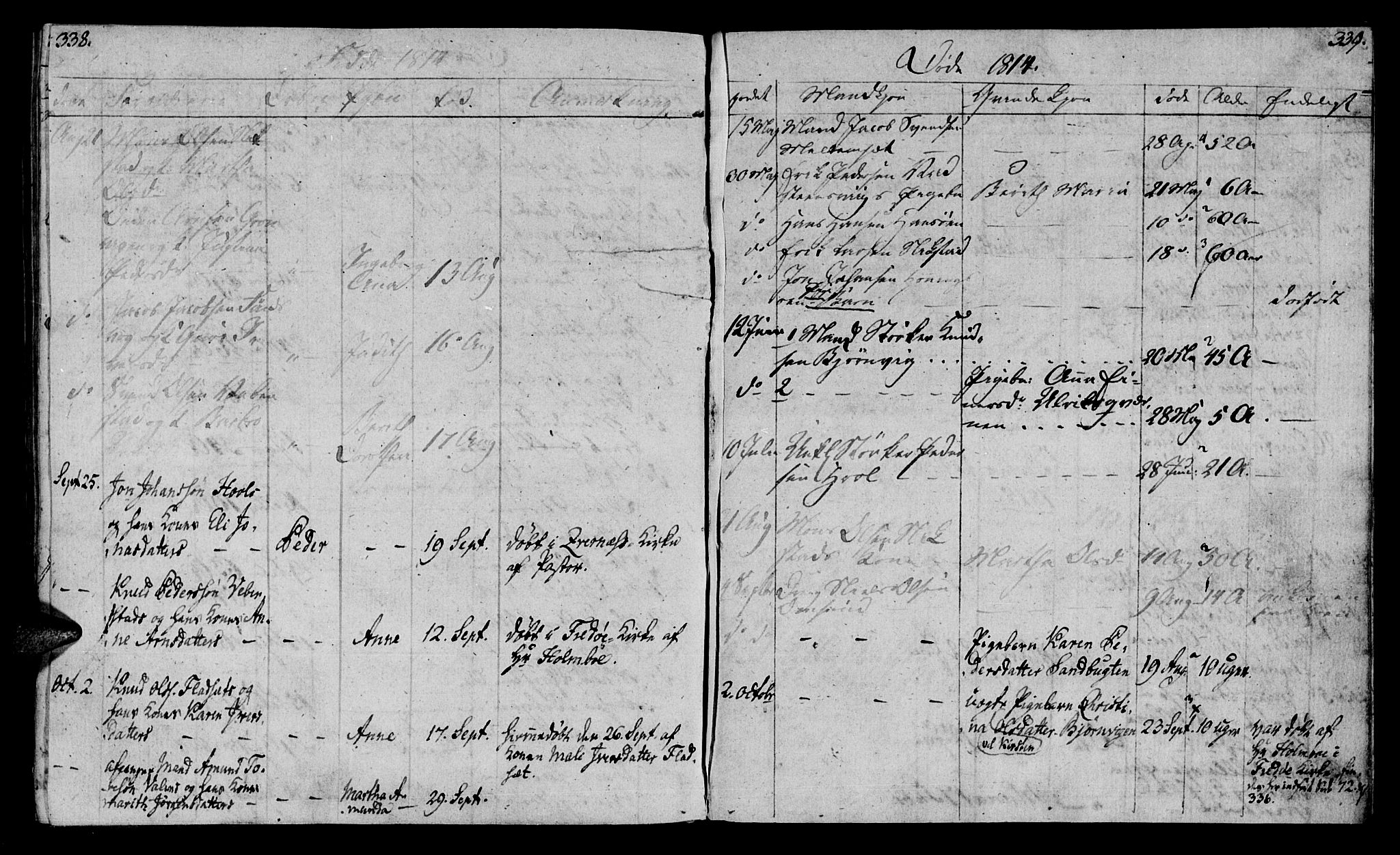 Ministerialprotokoller, klokkerbøker og fødselsregistre - Møre og Romsdal, SAT/A-1454/569/L0817: Parish register (official) no. 569A03, 1805-1819, p. 338-339
